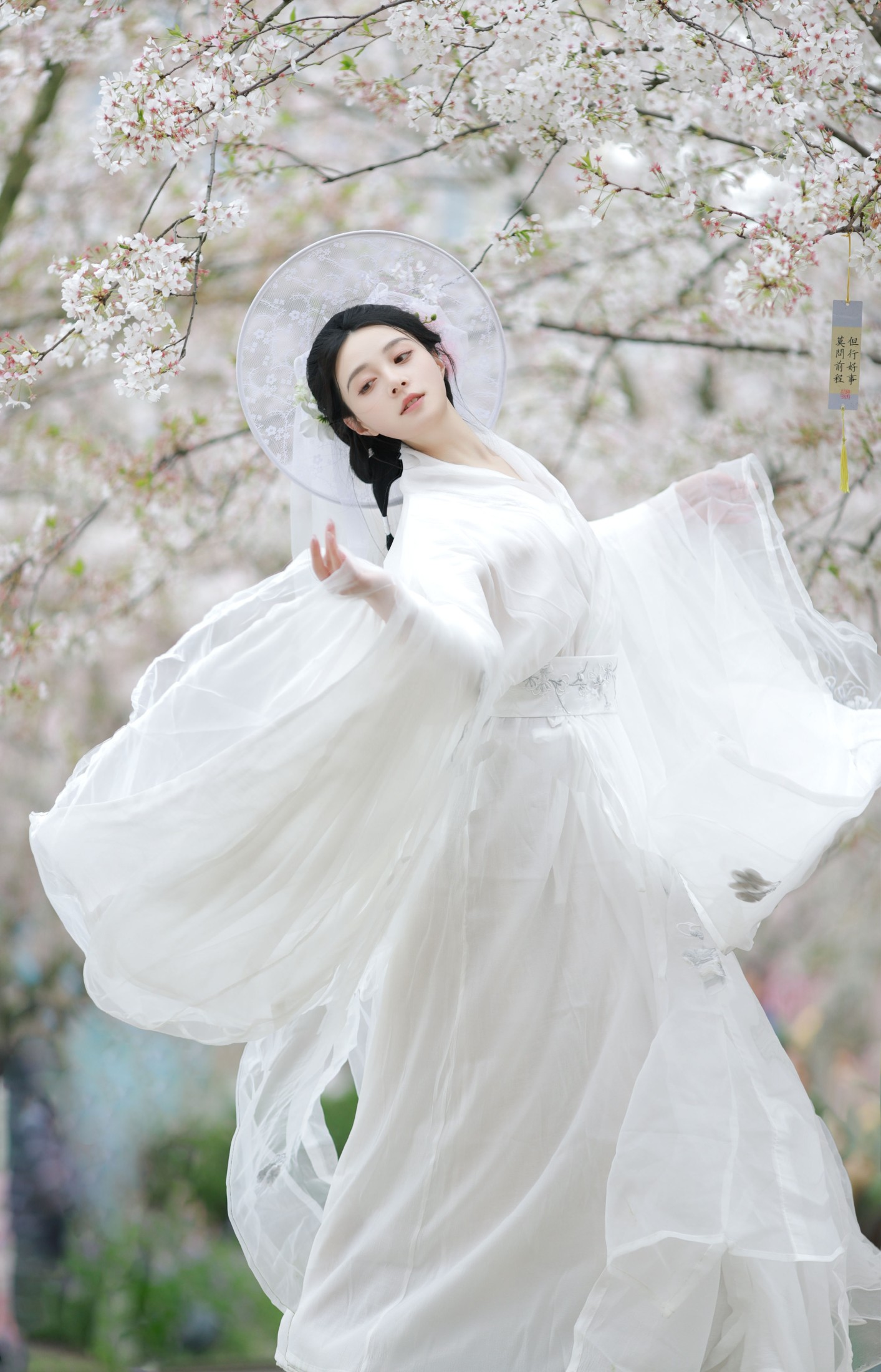 岁岁如意 – 《万物清明》[14P]