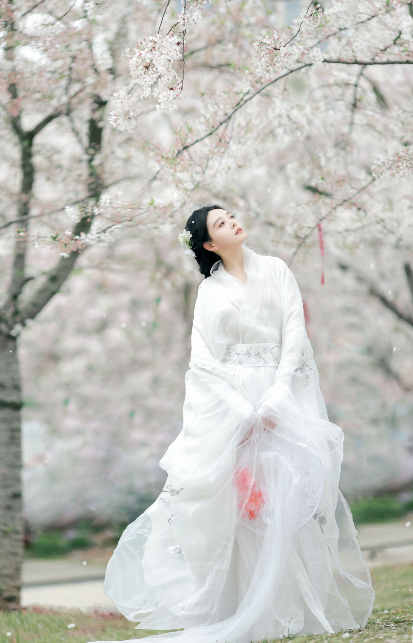 岁岁如意 – 《万物清明》[14P] 插图4