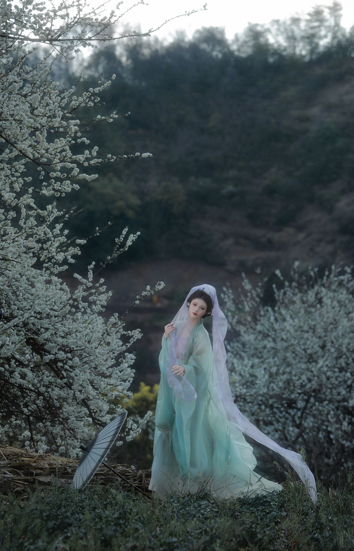 吾岁岁 – 《春山如黛草如烟》[22P]