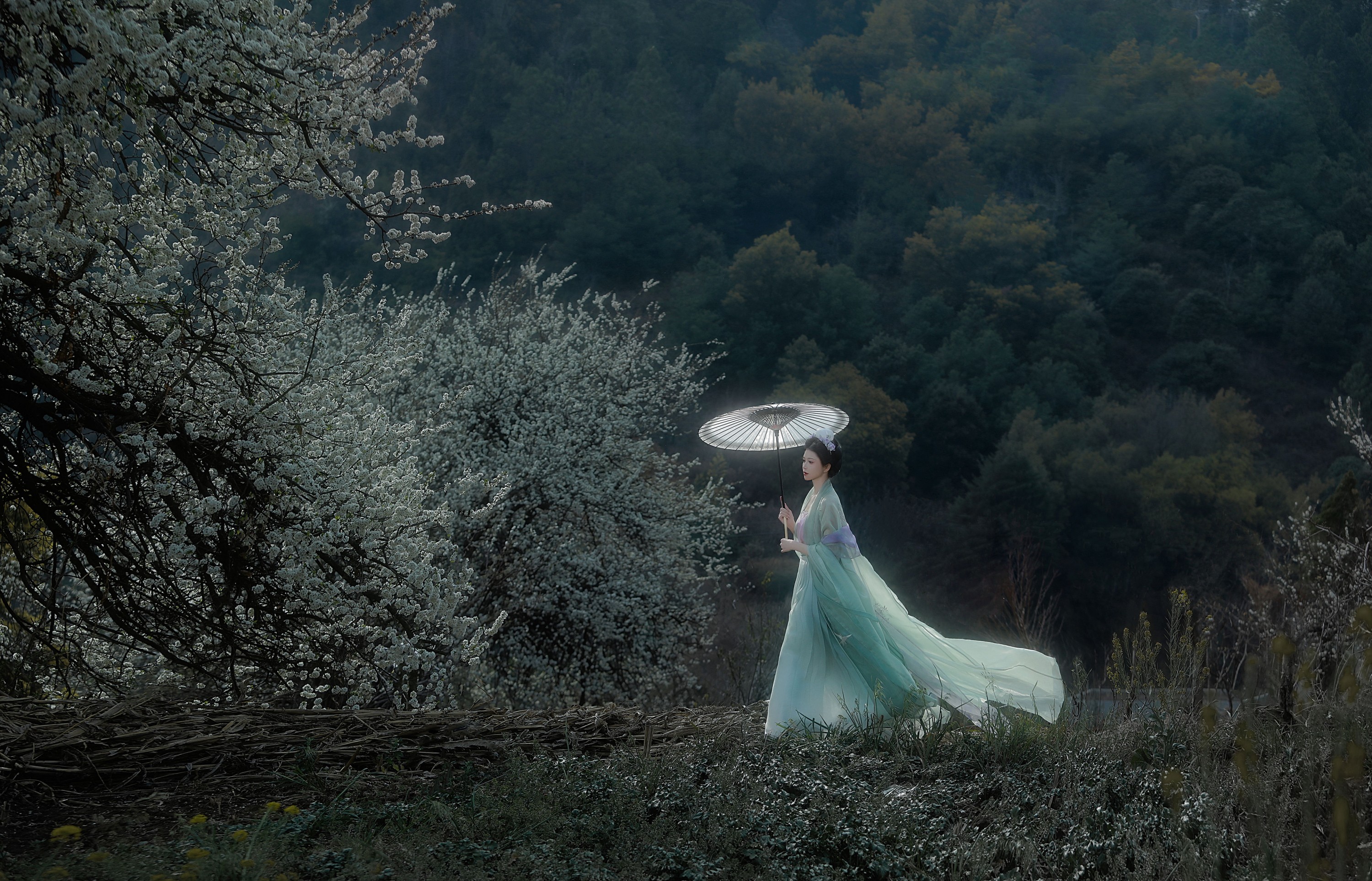 吾岁岁 – 《春山如黛草如烟》[22P]