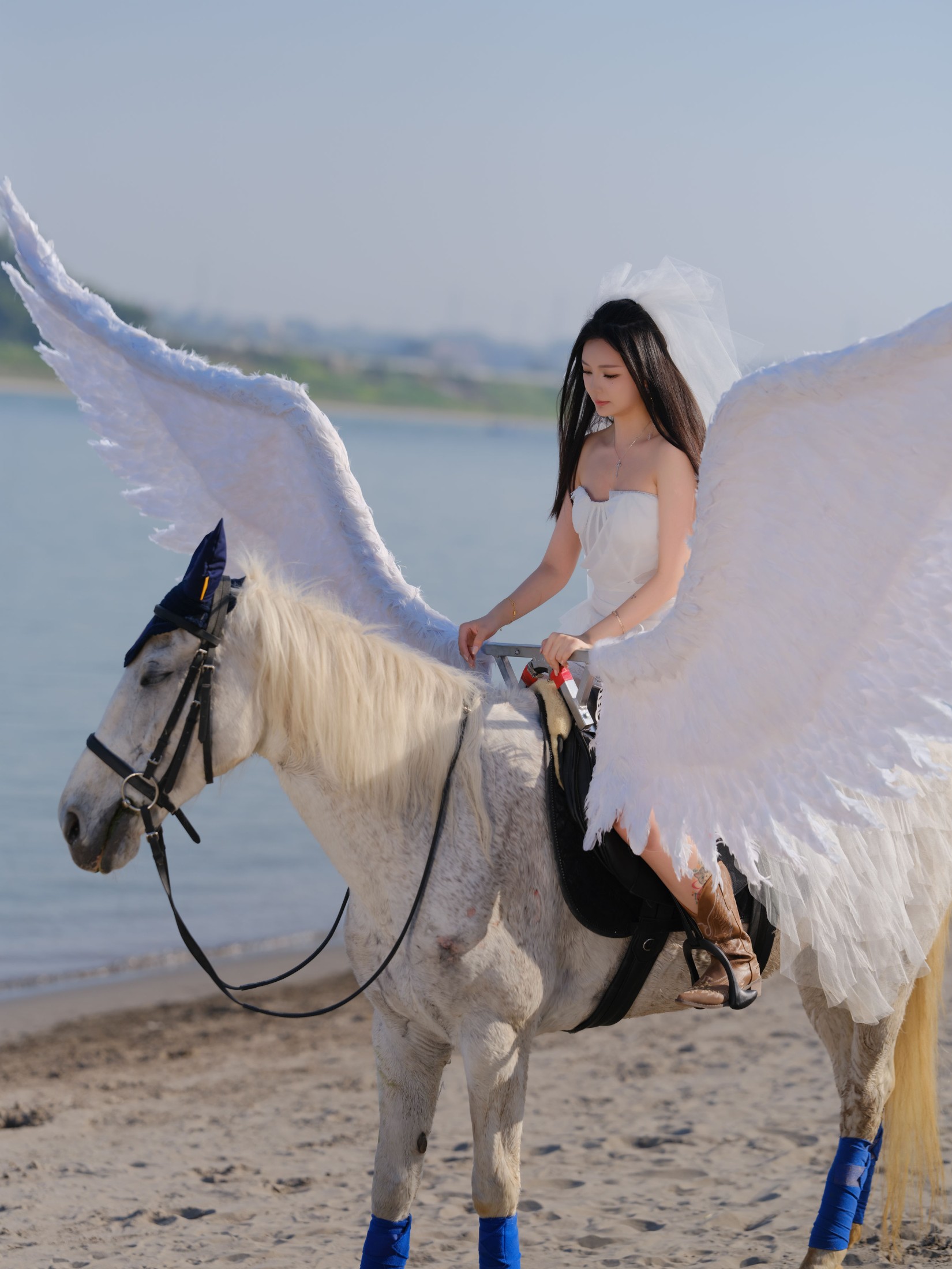 z – 《飞马公主》[16P]