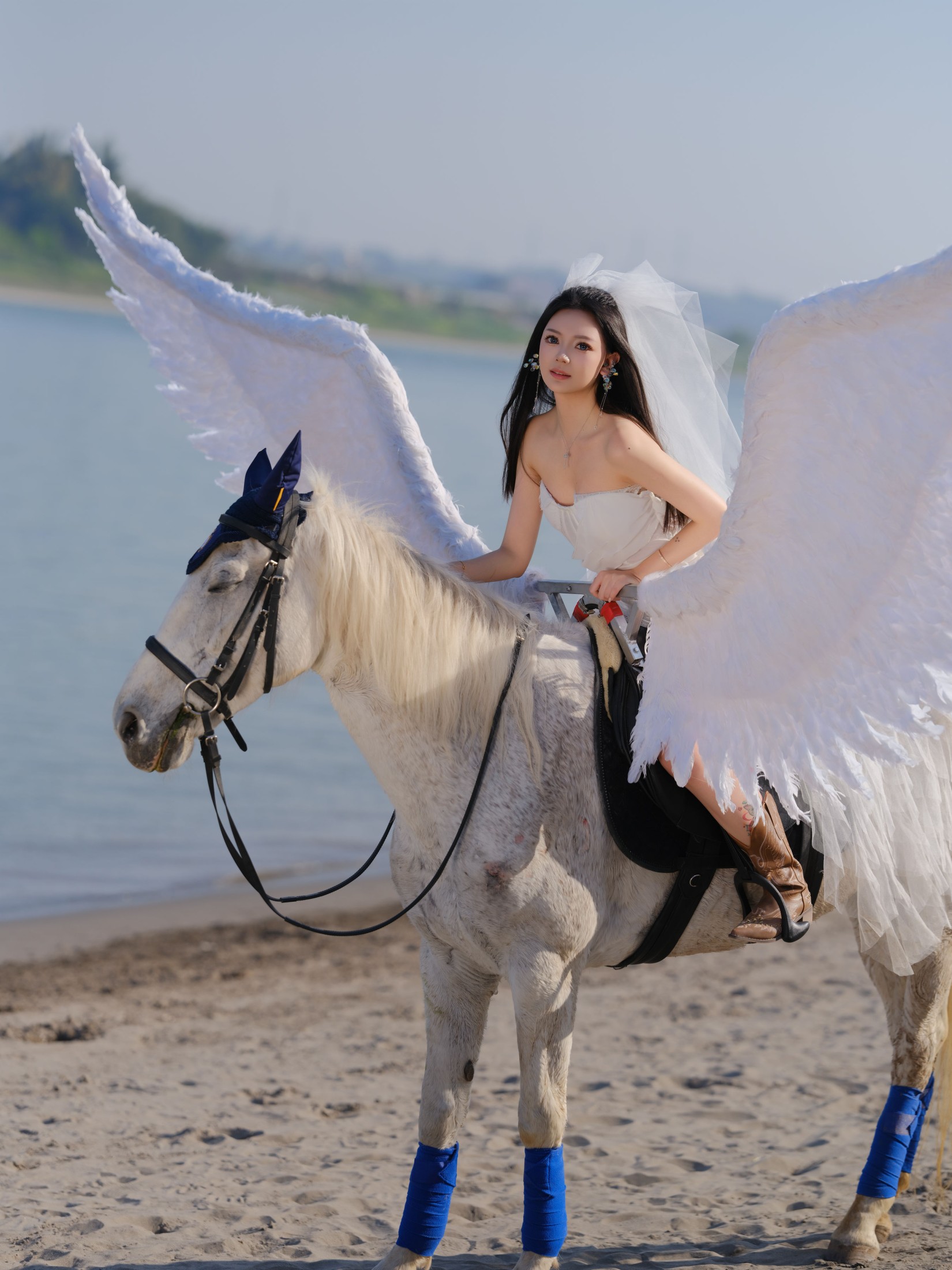 z – 《飞马公主》[16P]