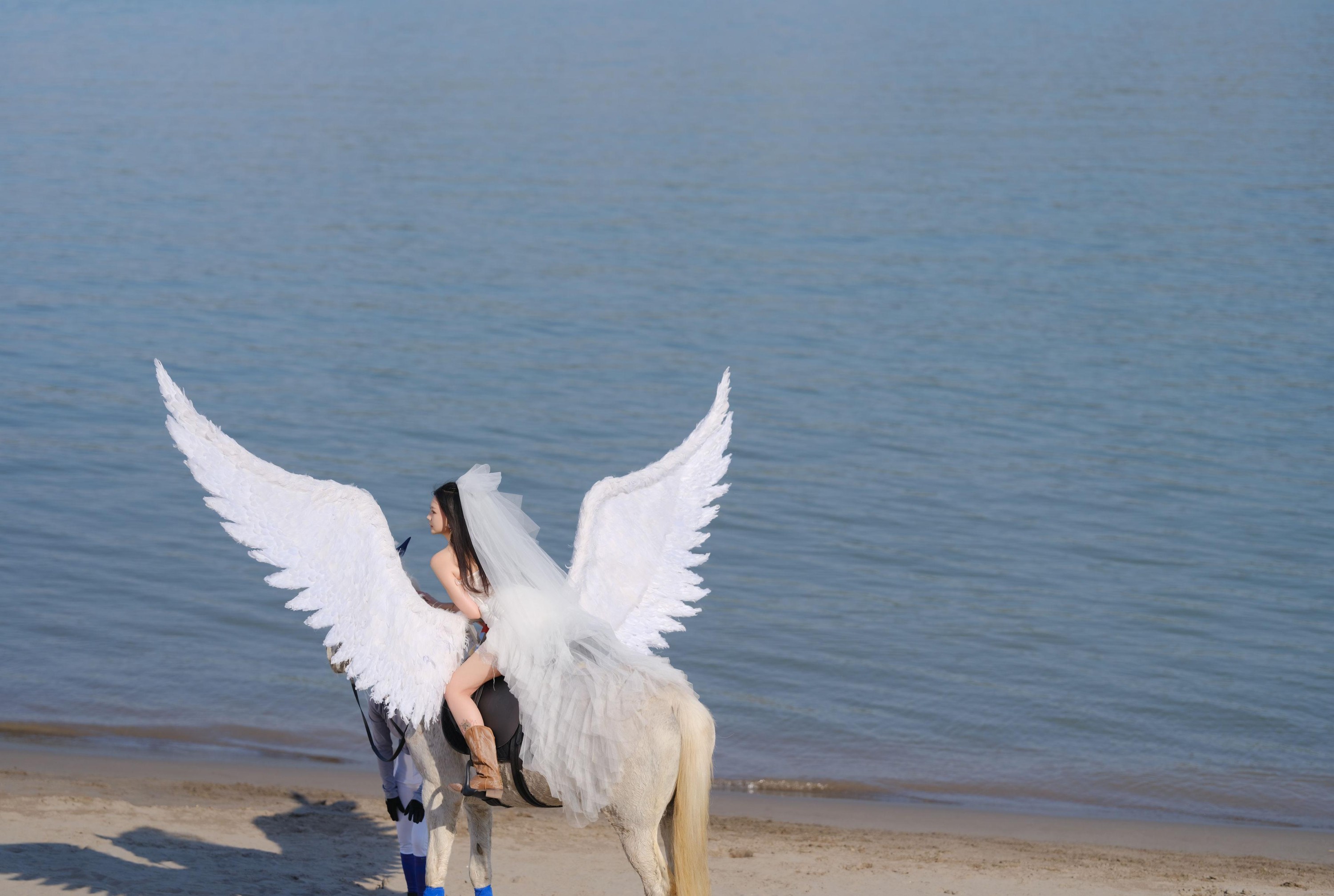 z – 《飞马公主》[16P]