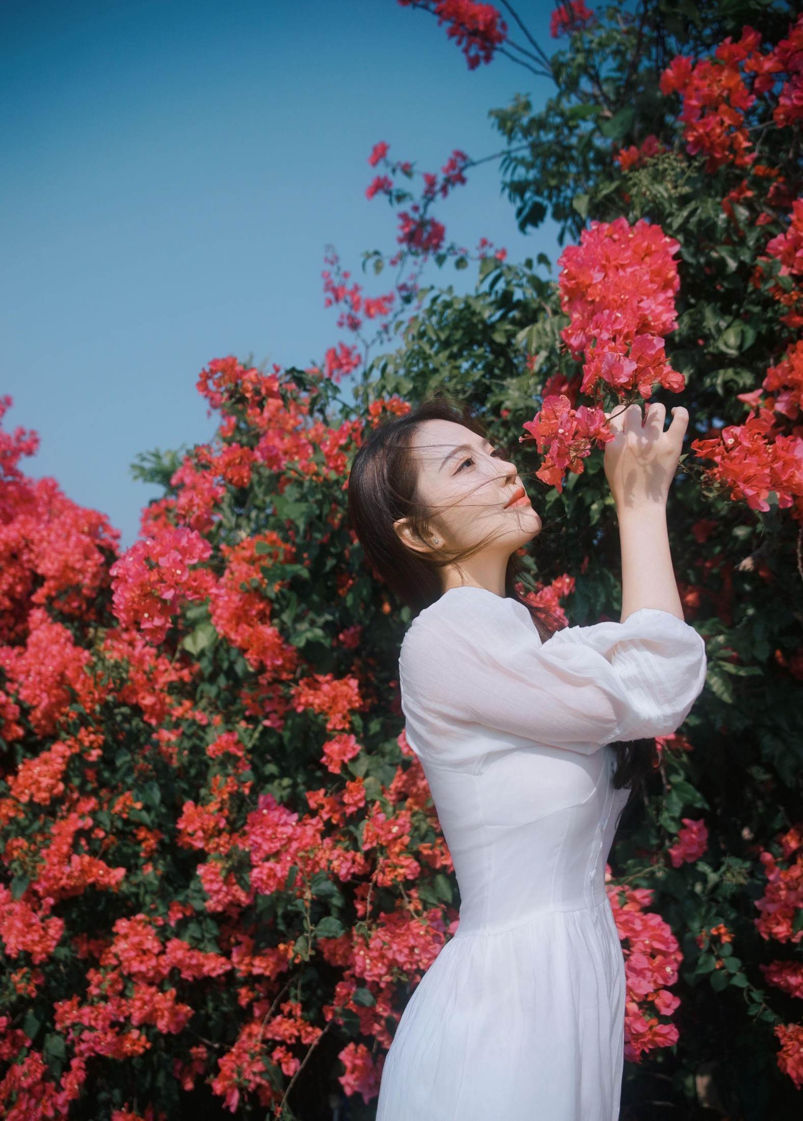 颖儿YY – 《三角梅瀑，藏住少女温柔》[46P]