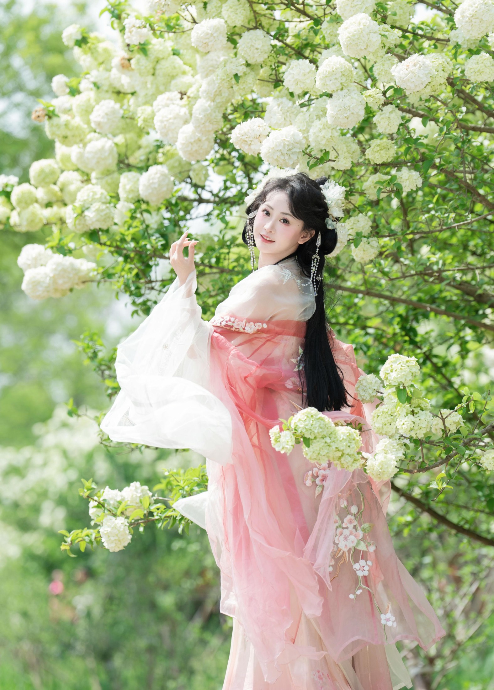 湫一只岁岁 – 《洁白绣球》[33P]