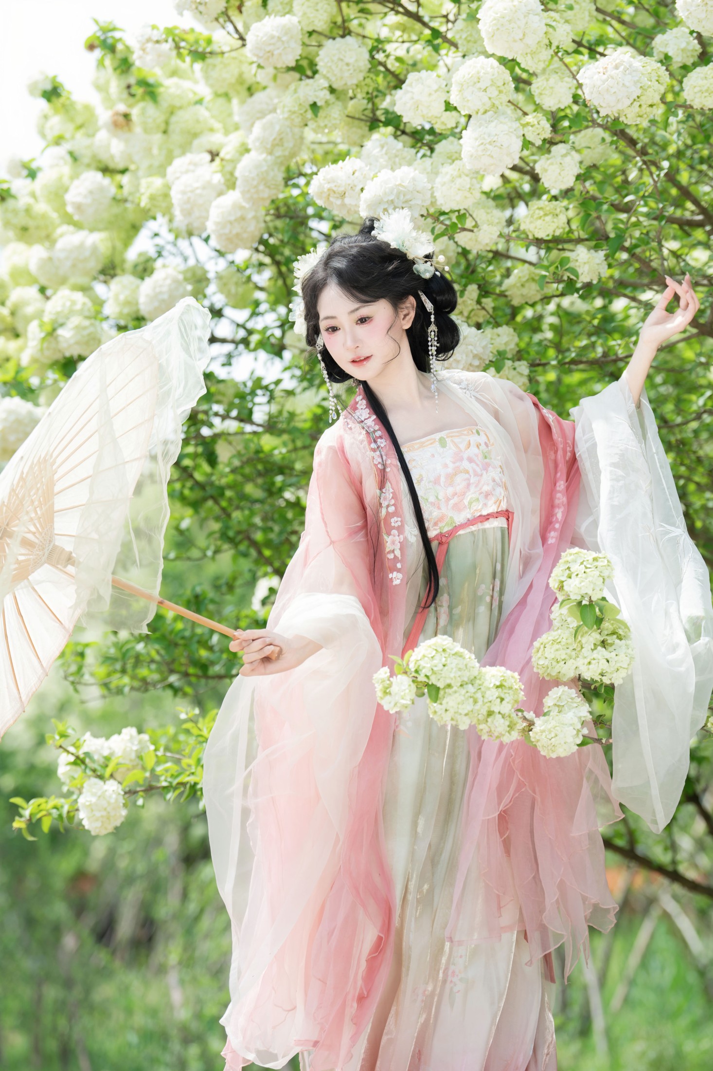 湫一只岁岁 – 《洁白绣球》[33P]