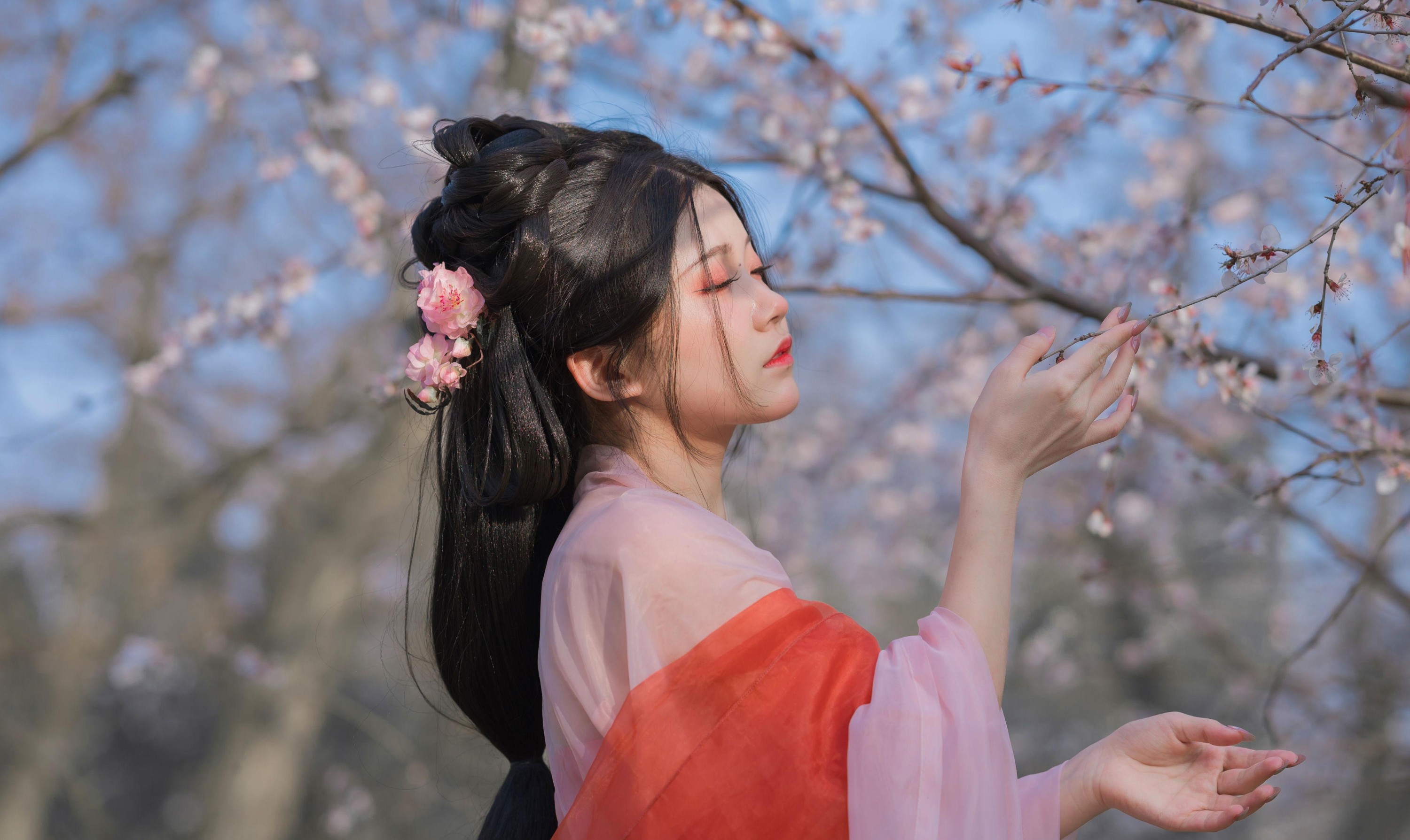 桂圆八宝粥 – 《桃花夭夭》[15P]