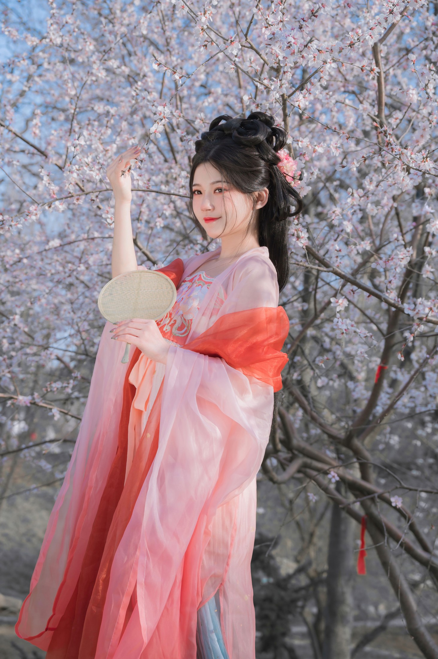 桂圆八宝粥 – 《桃花夭夭》[15P]