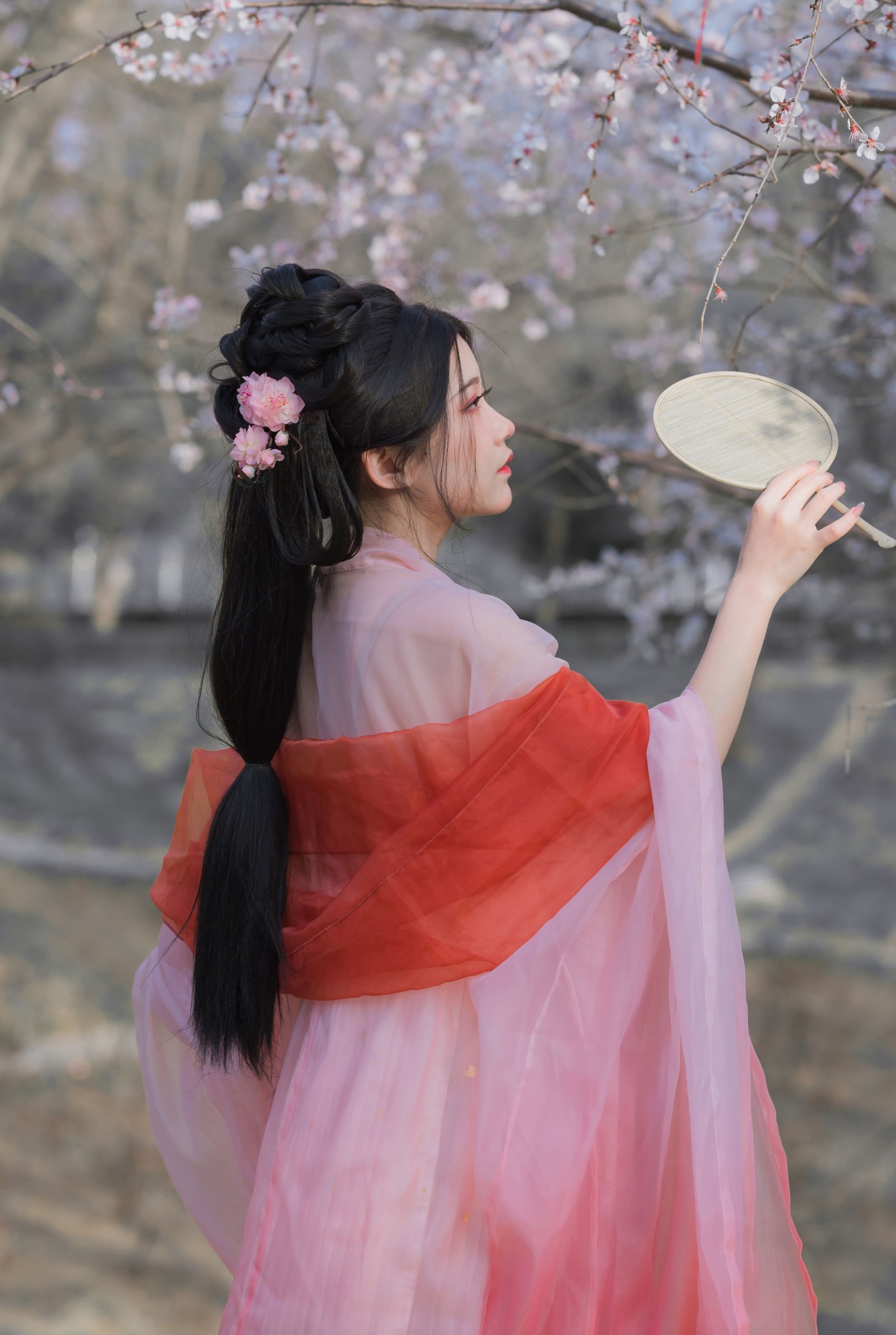 桂圆八宝粥 – 《桃花夭夭》[15P]