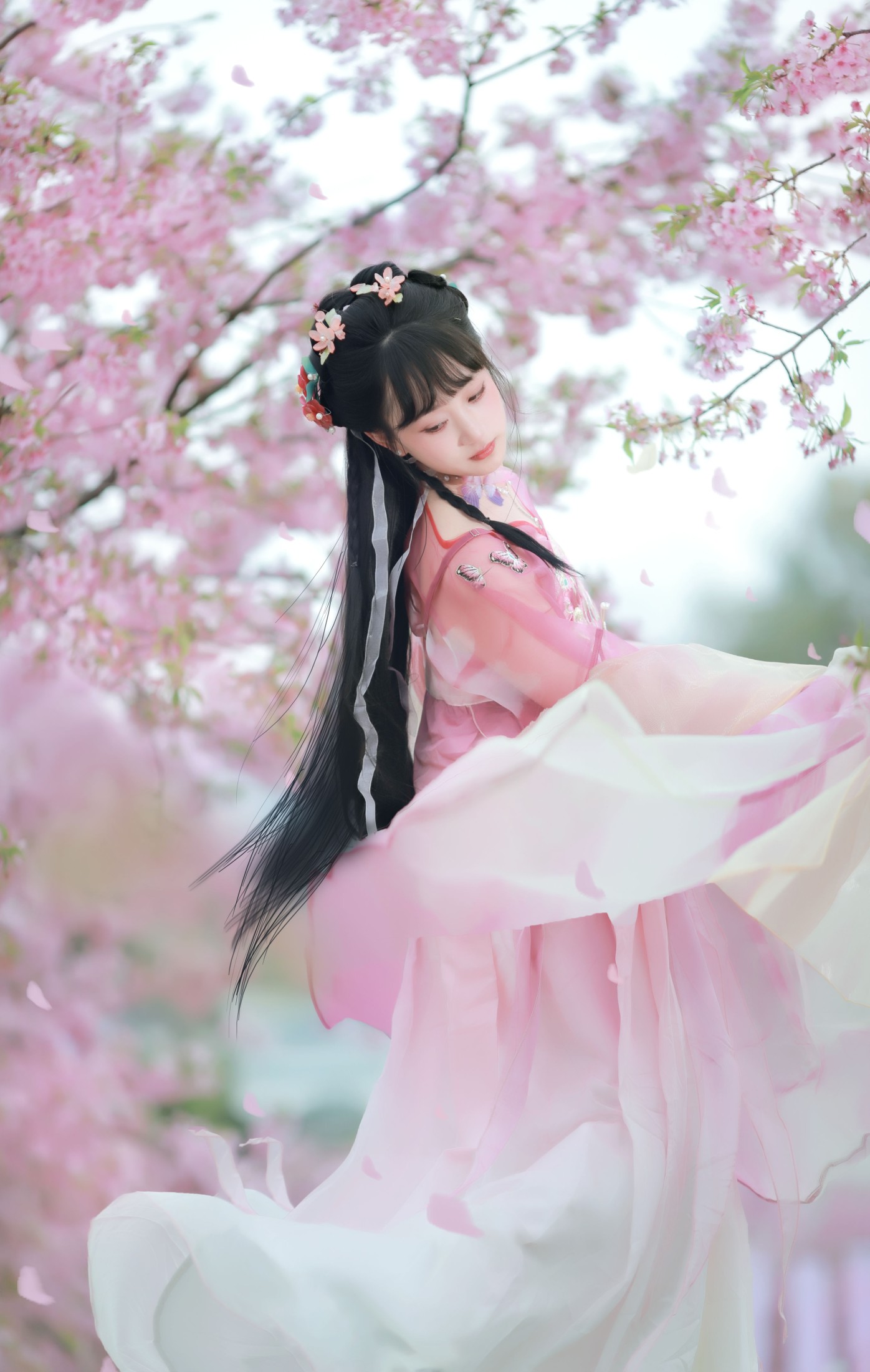 小王碎彬彬 – 《落樱》[13P]