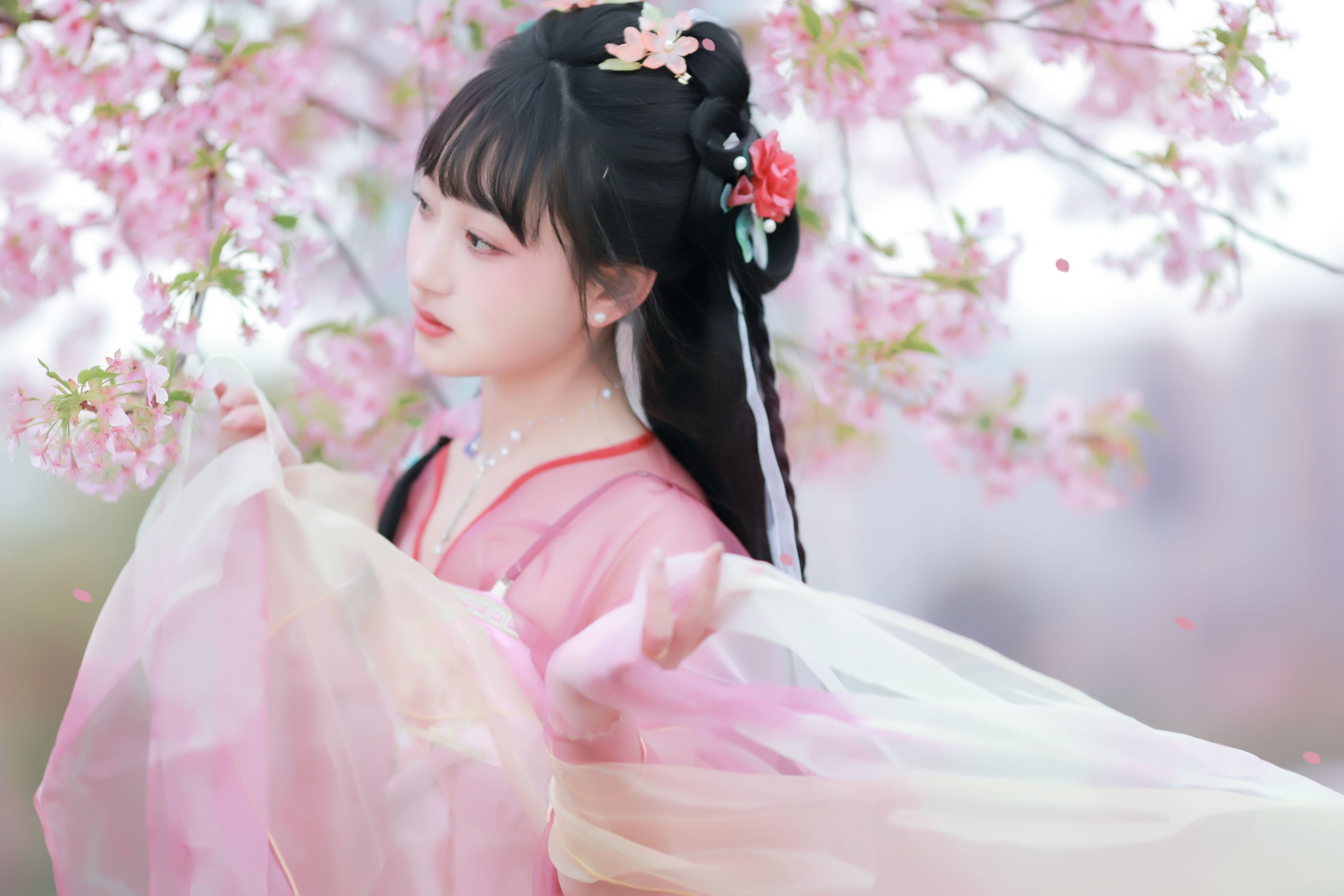 小王碎彬彬 – 《落樱》[13P]