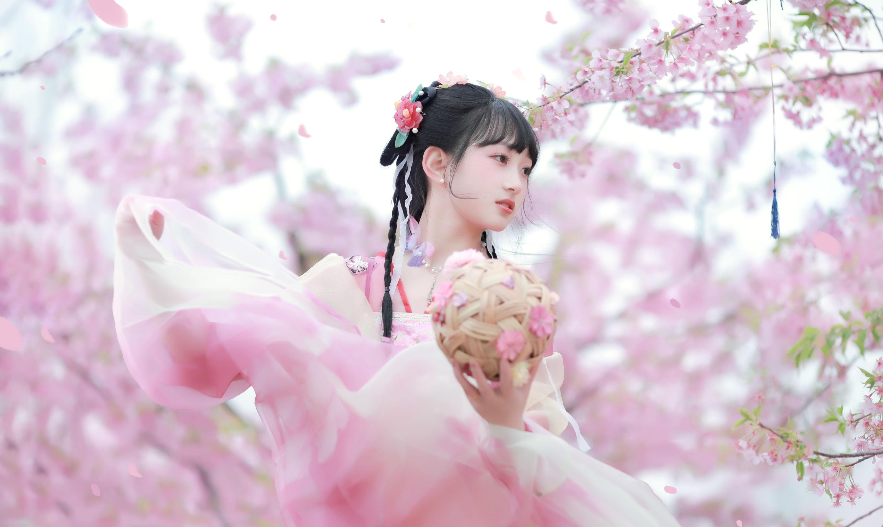 小王碎彬彬 – 《落樱》[13P]