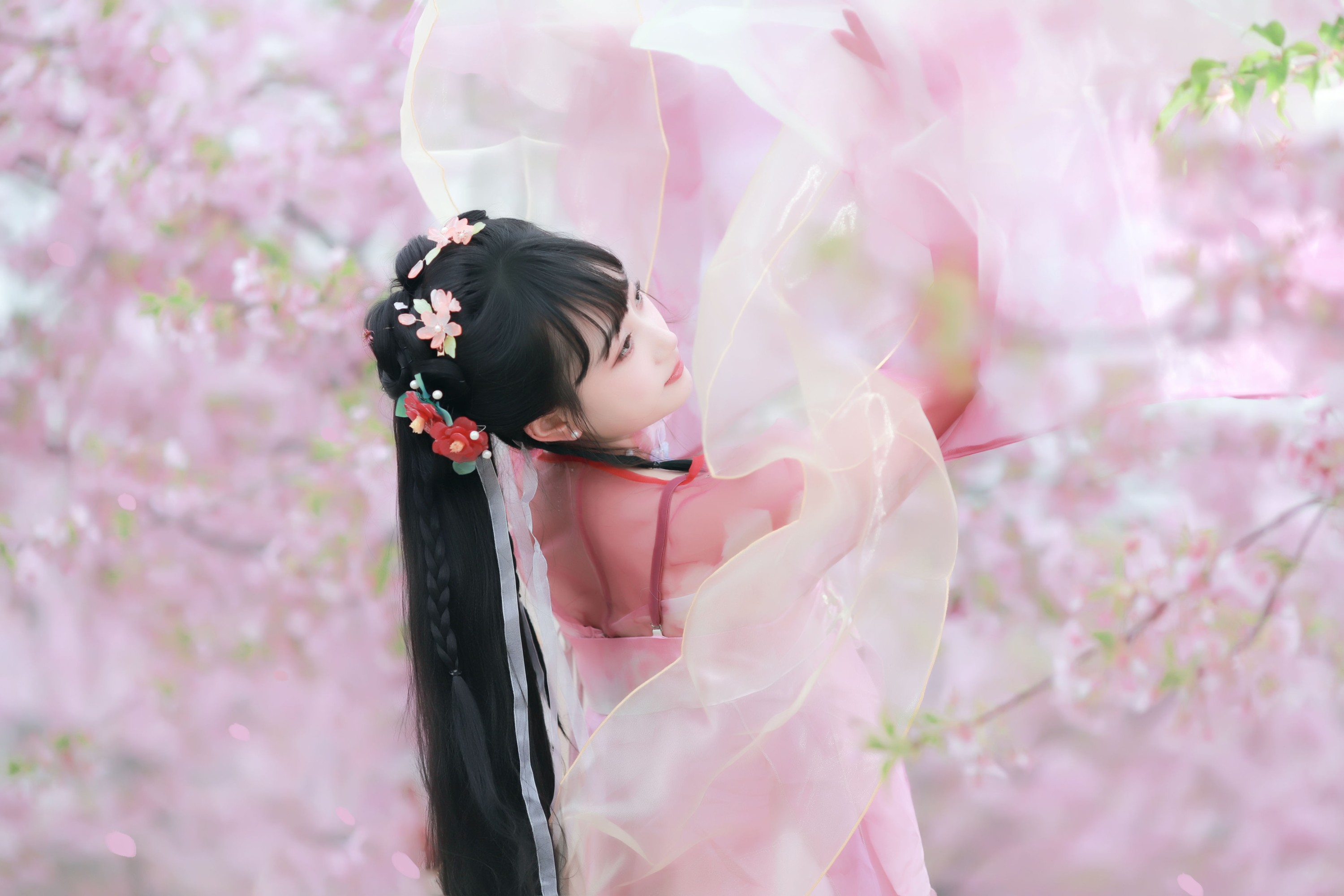 小王碎彬彬 – 《落樱》[13P]