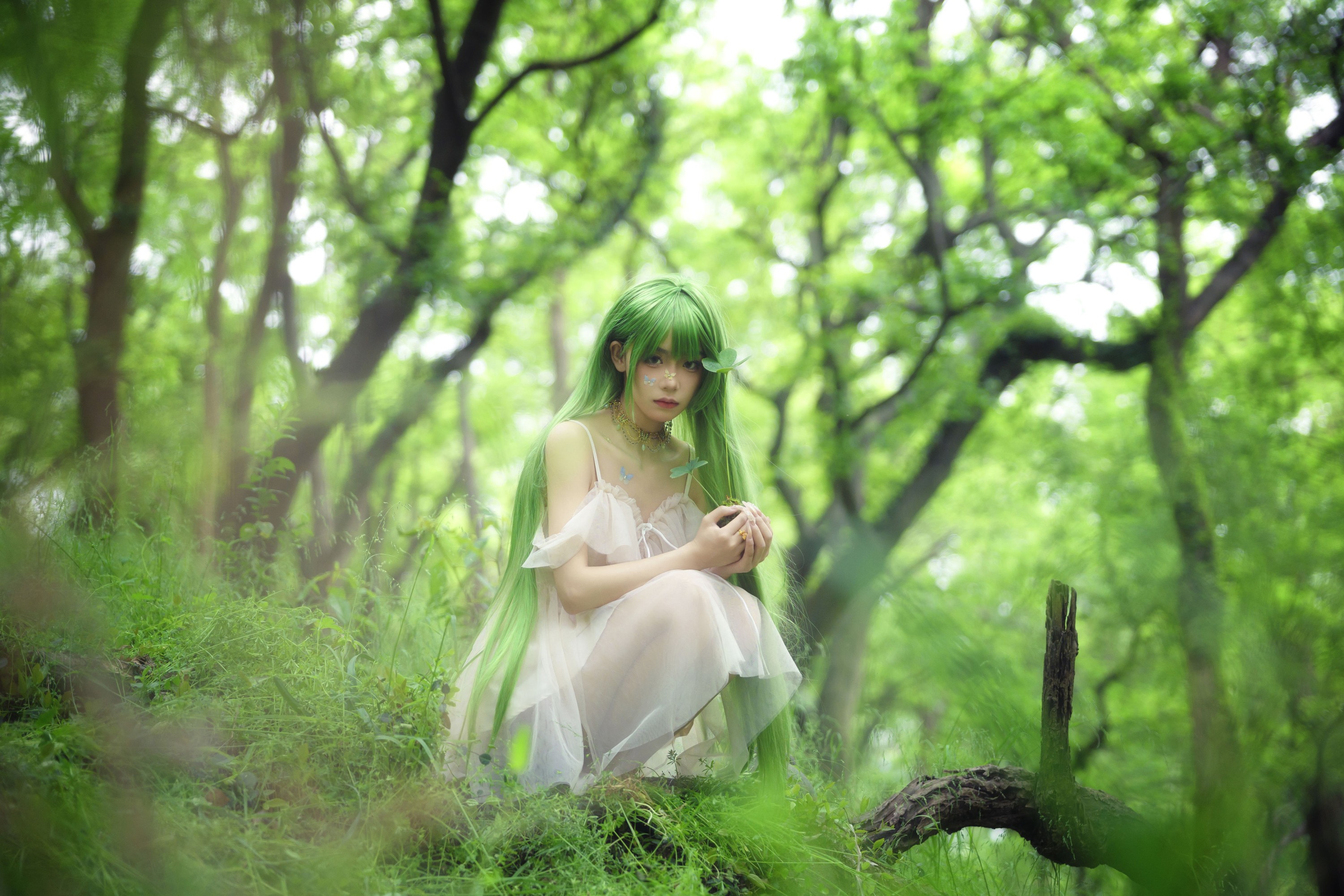 小熊 – 《万物生长》[19P] 插图4