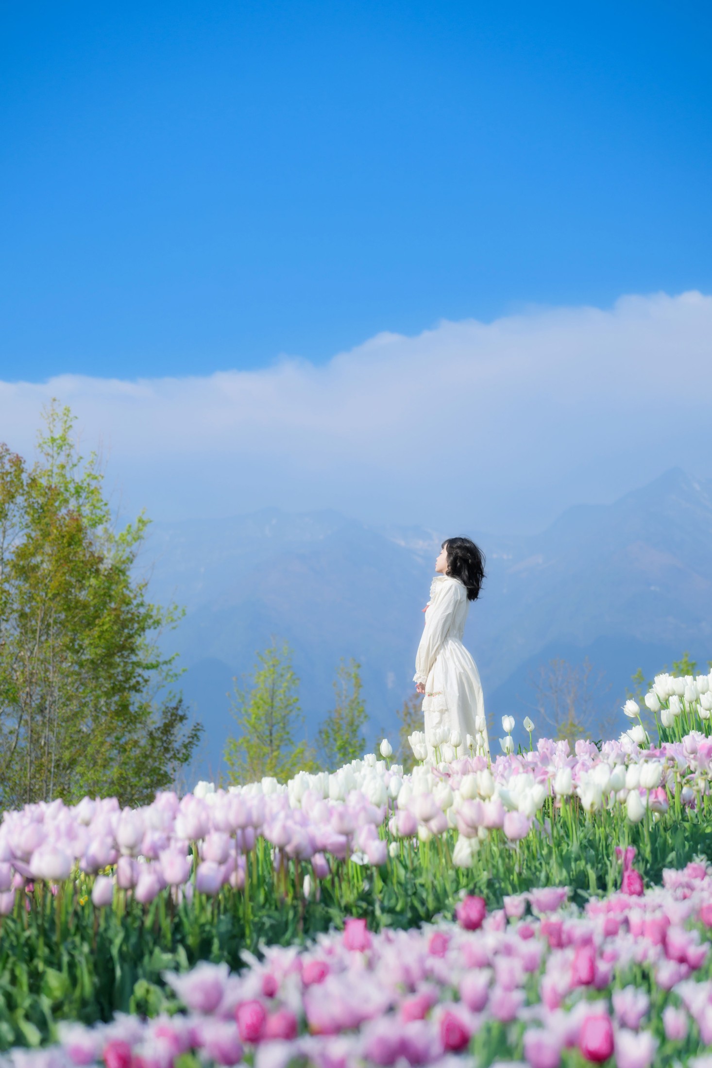 Disexi思宁 – 《鲜花人间》[20P]