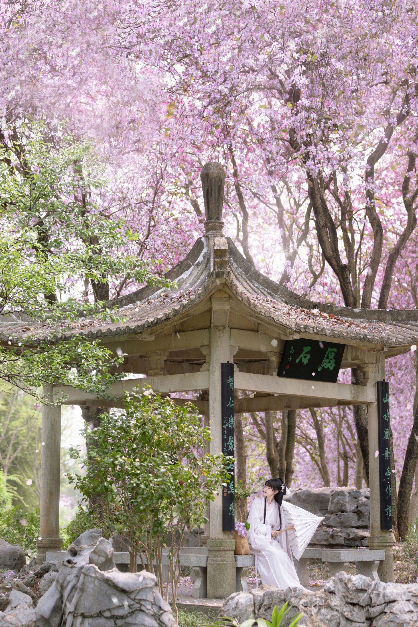 巧巧 – 《江畔寻花》[27P]