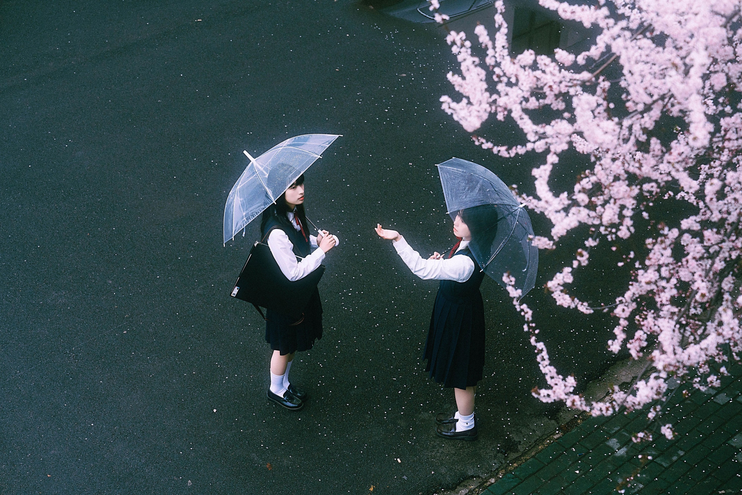 小葵不困 月亮小p – 《未完成的春分线》[32P]