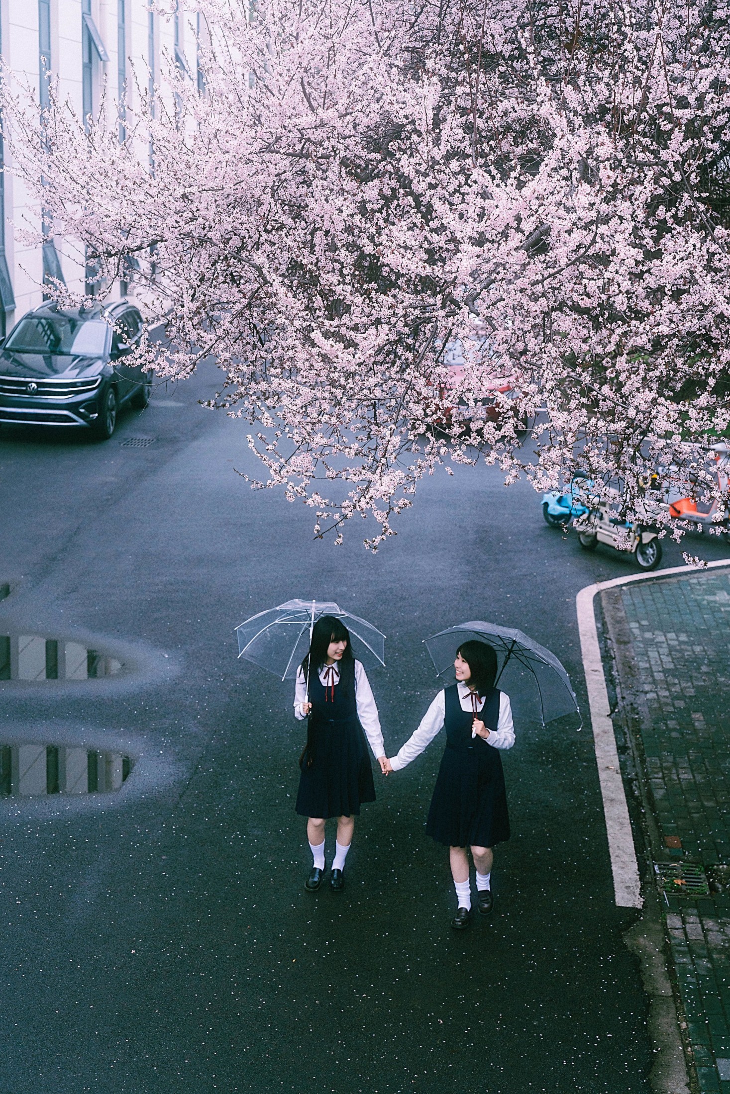 小葵不困 月亮小p – 《未完成的春分线》[32P]