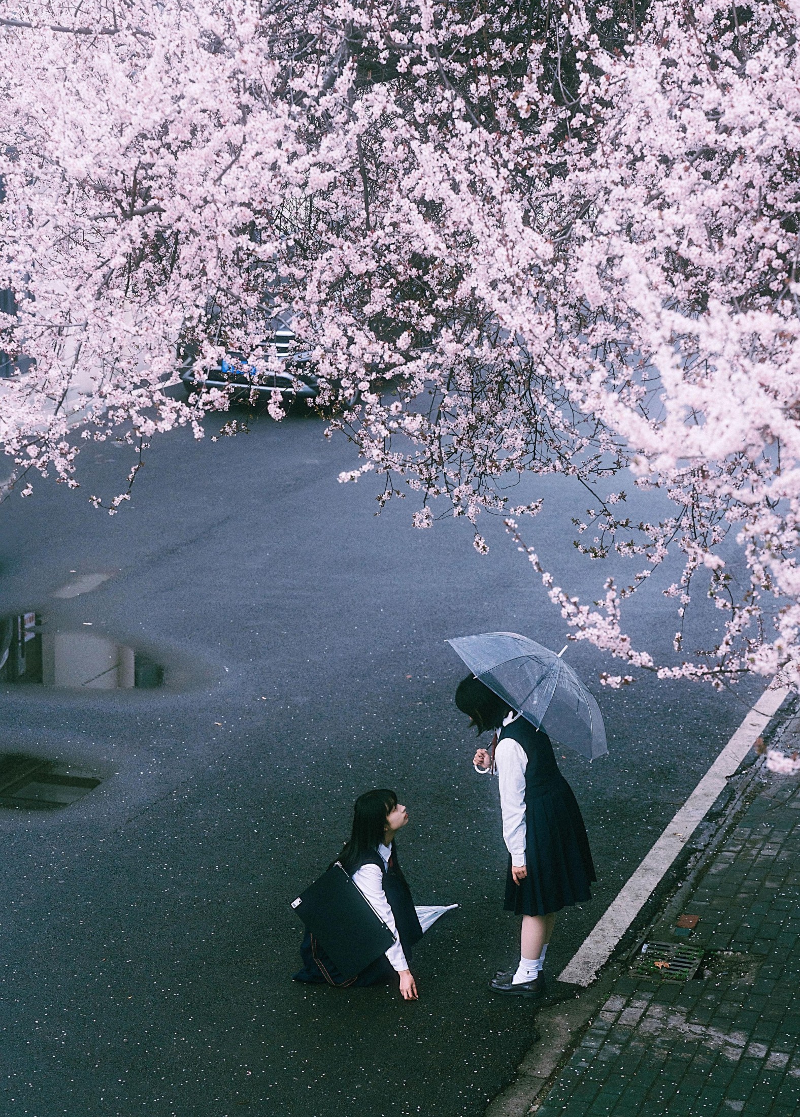 小葵不困 月亮小p – 《未完成的春分线》[32P]