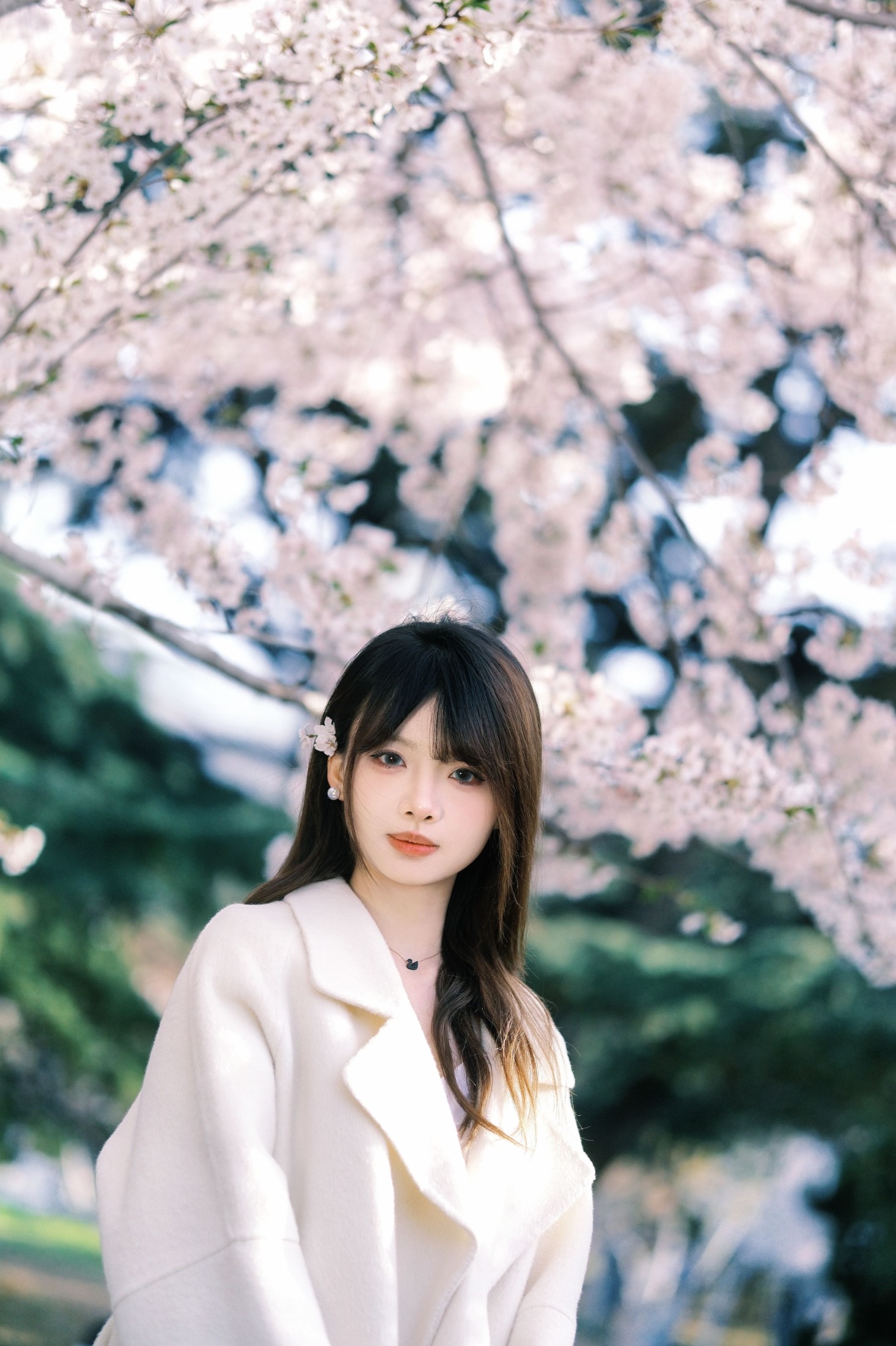 瑶瑶 – 《春樱》[18P] 插图5