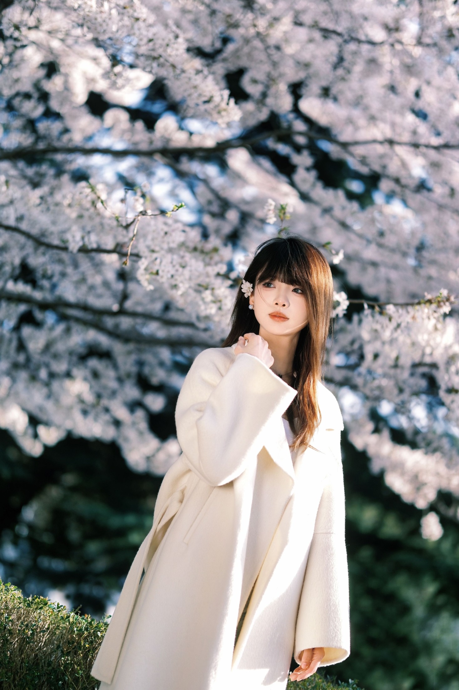 瑶瑶 – 《春樱》[18P]