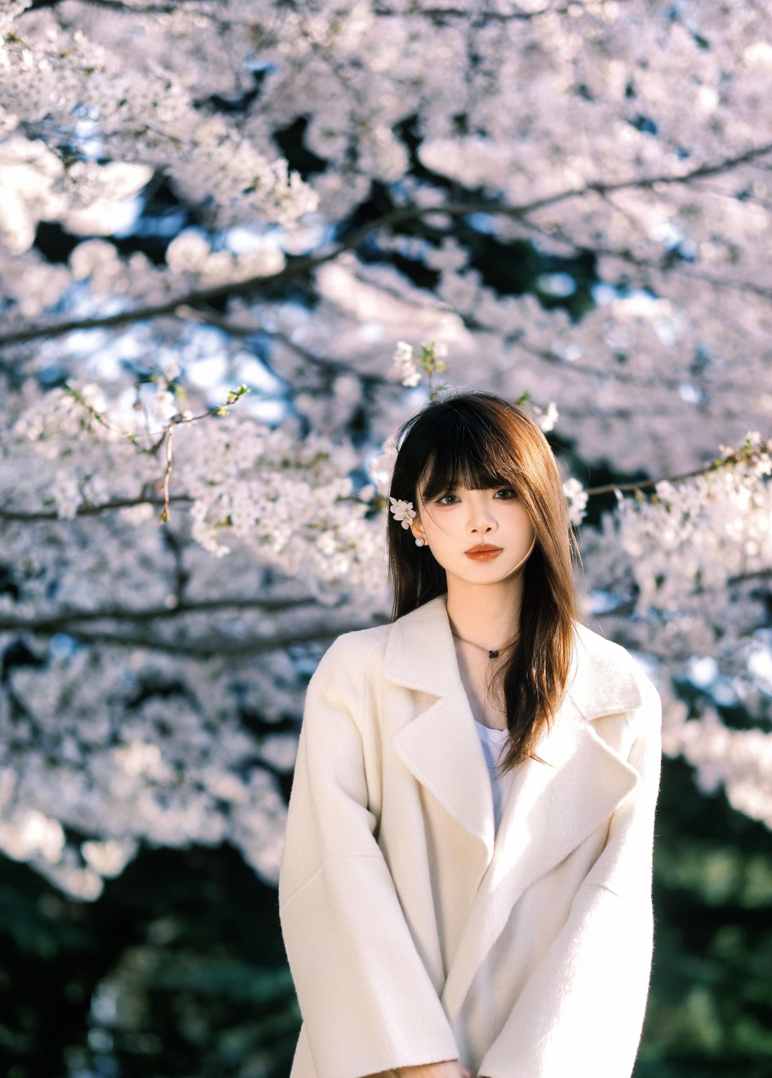 瑶瑶 – 《春樱》[18P] 插图2