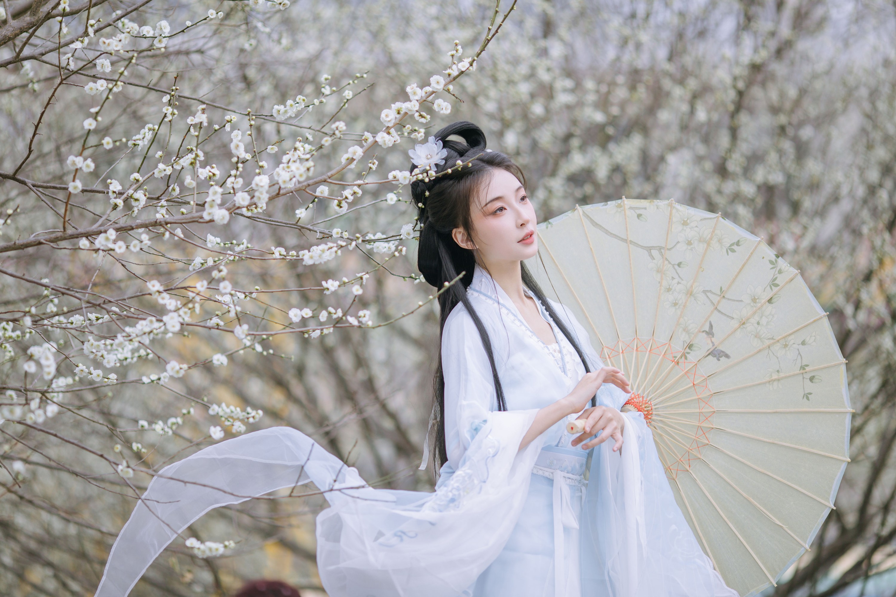 无巧不成狐（兮雅） – 《暗香浮动》[18P]