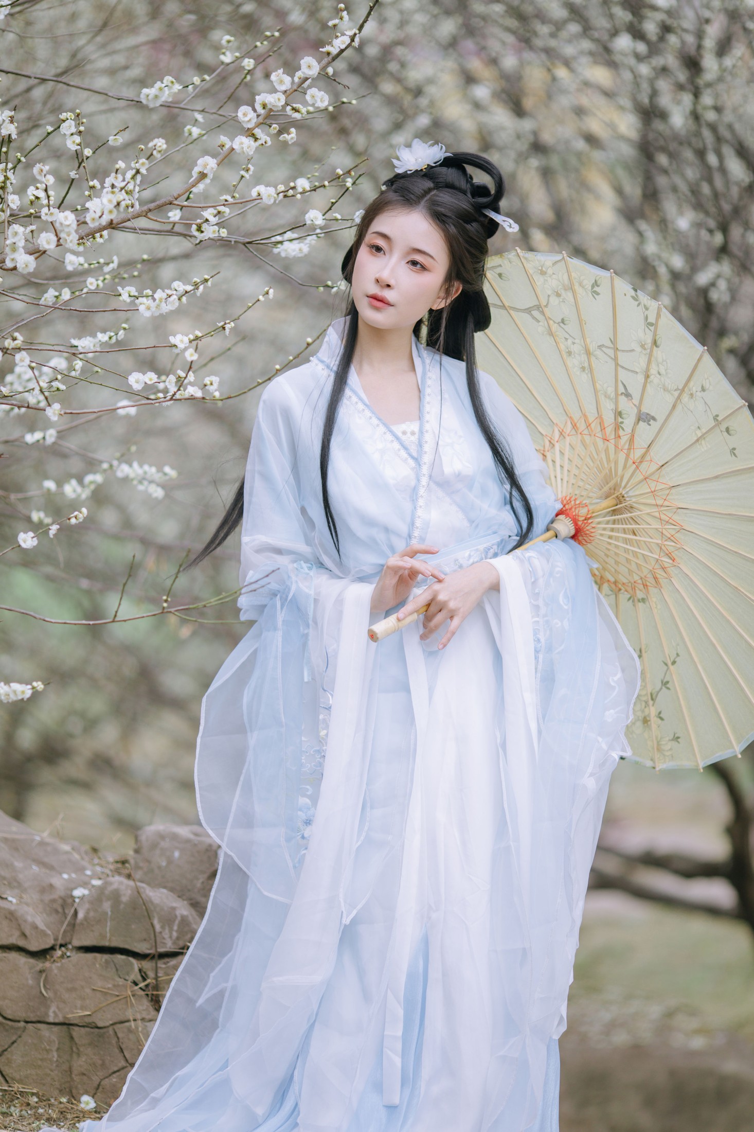 无巧不成狐（兮雅） – 《暗香浮动》[18P]