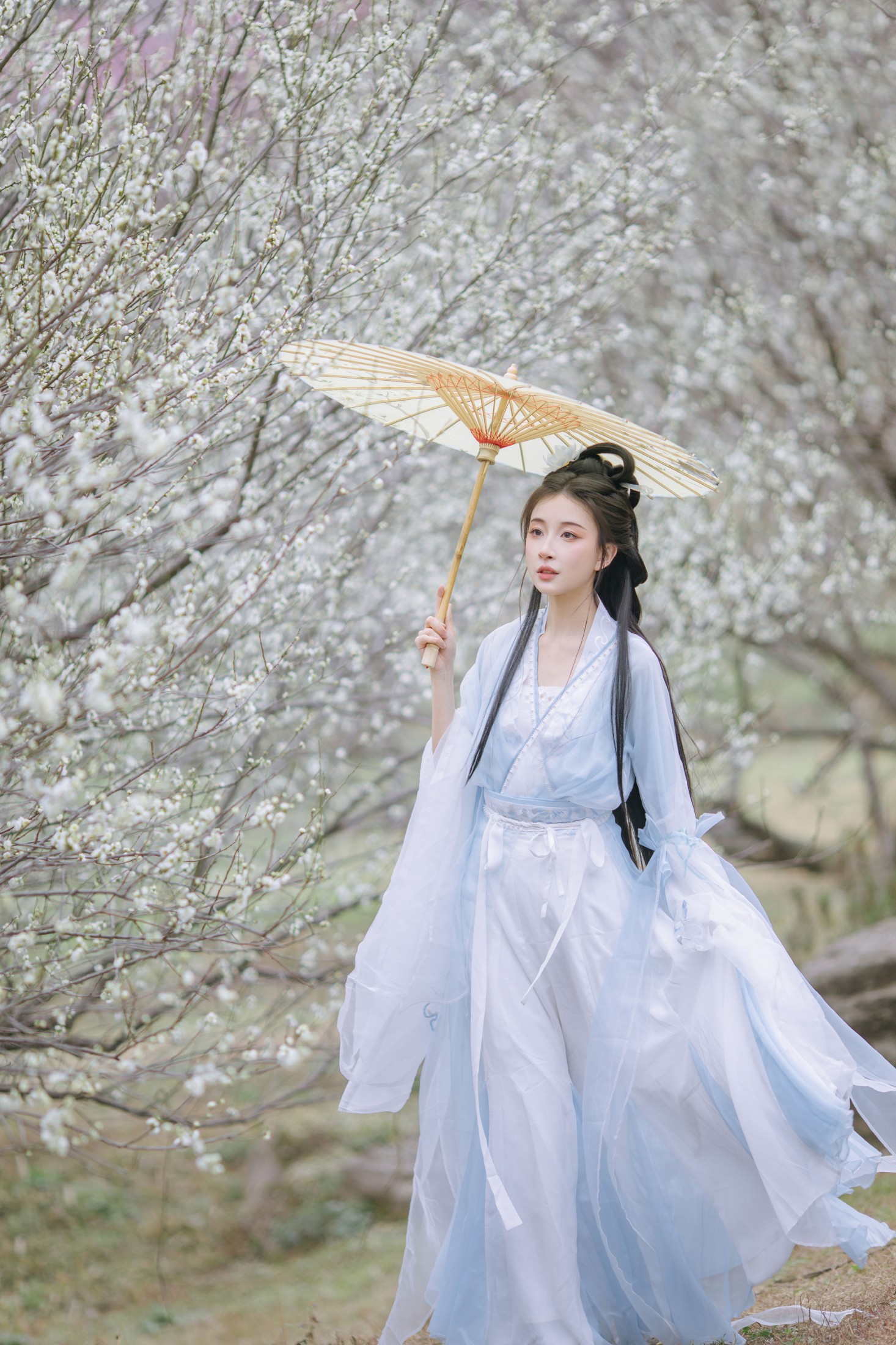 无巧不成狐（兮雅） – 《暗香浮动》[18P]