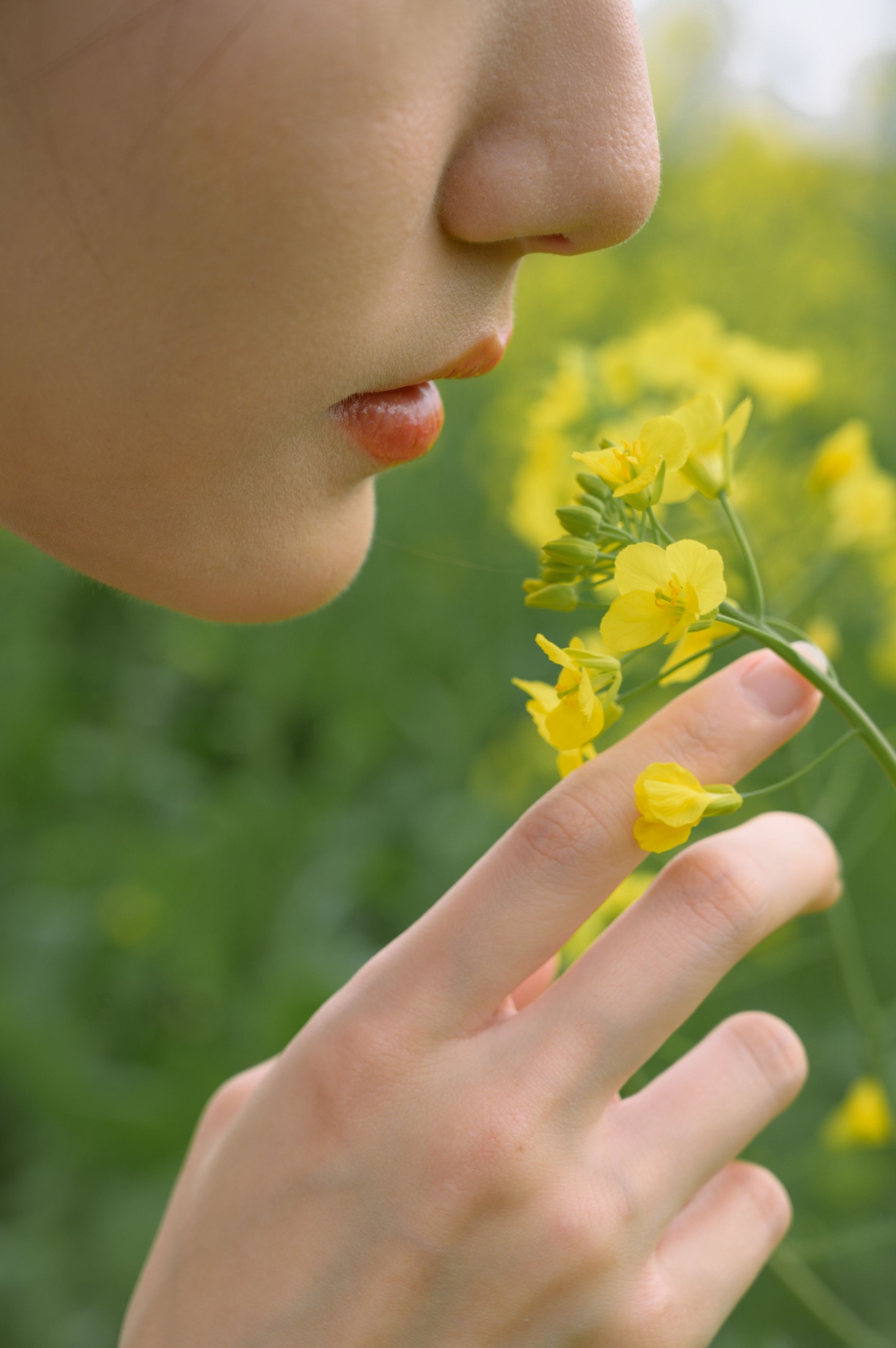 小月 – 《阴天与油菜花》[35P]