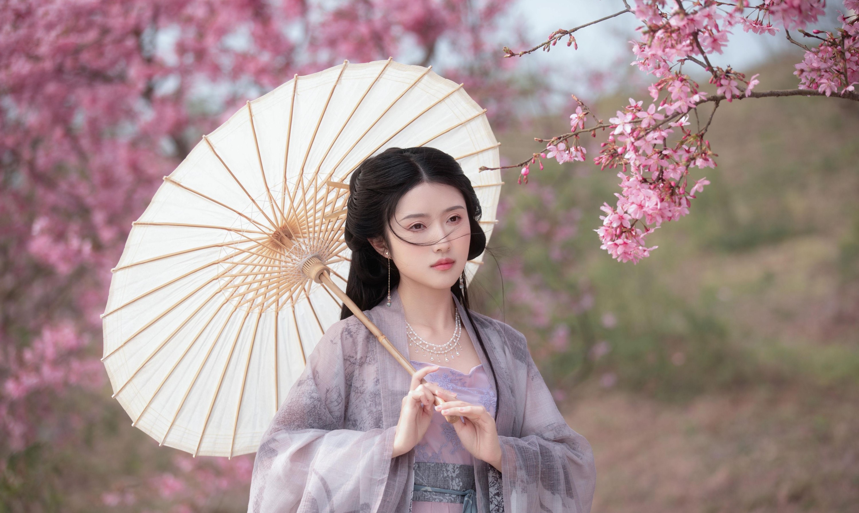 秋雨 – 《春樱》[16P]