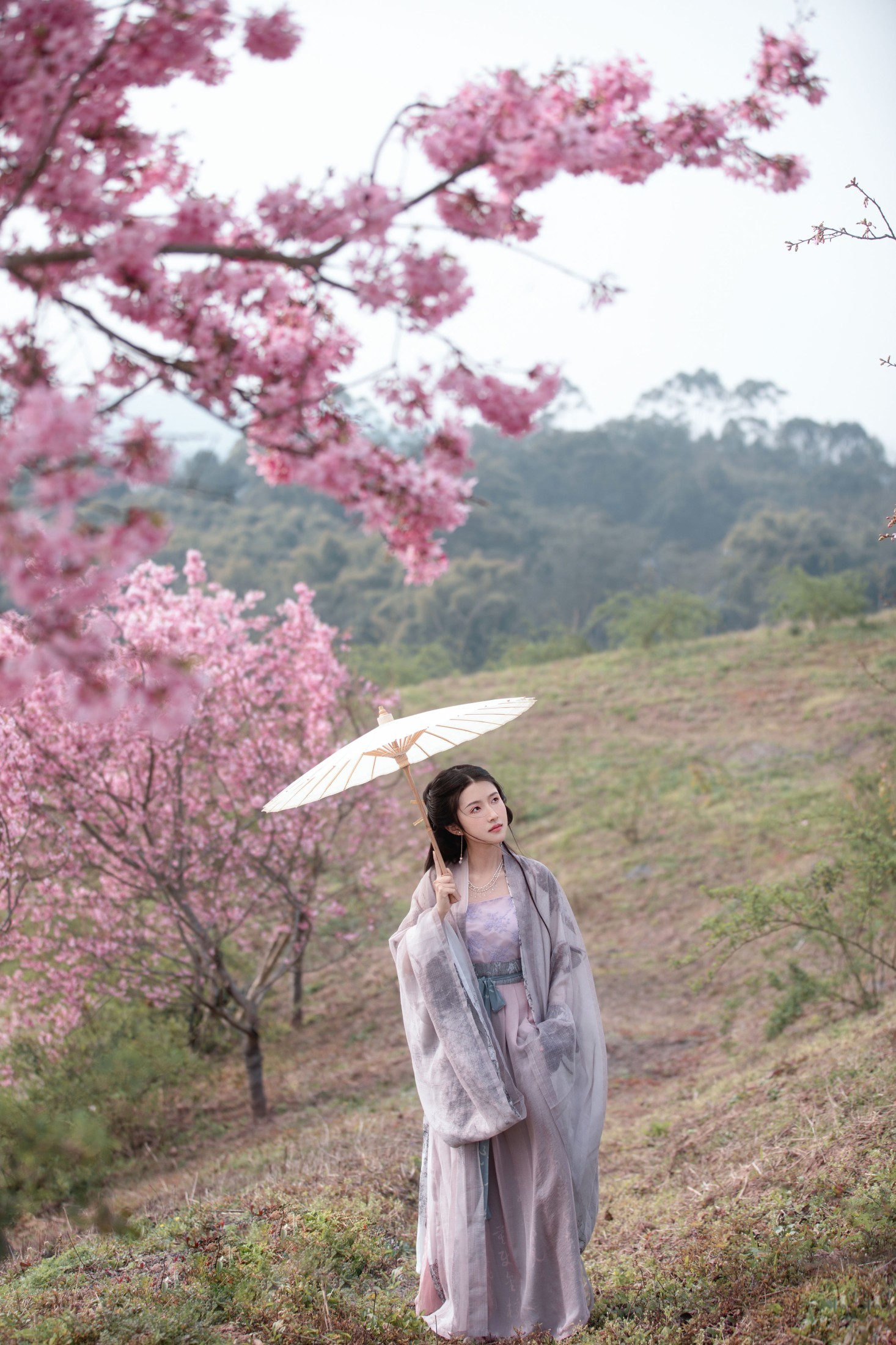 秋雨 – 《春樱》[16P]