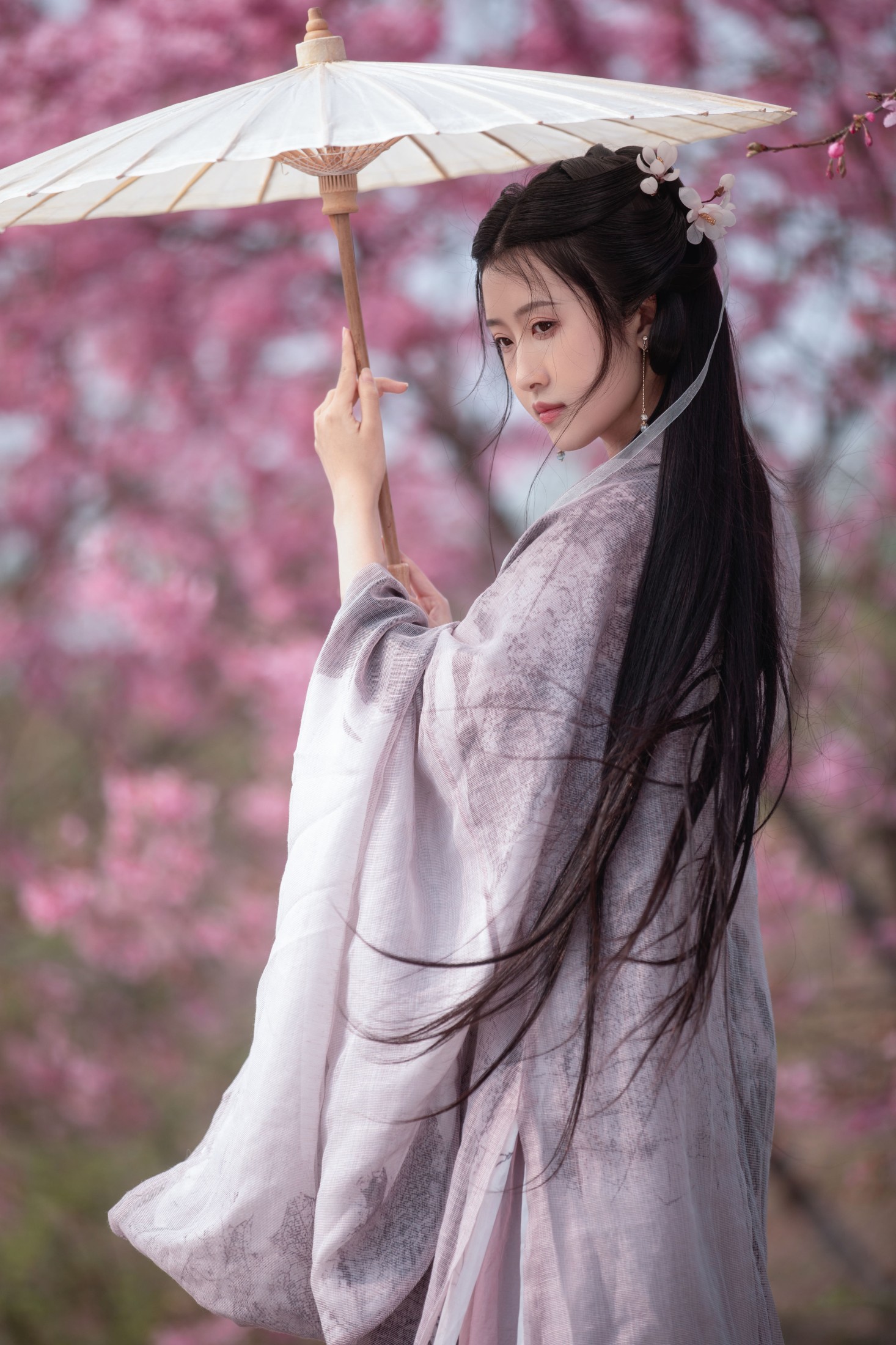 秋雨 – 《春樱》[16P]