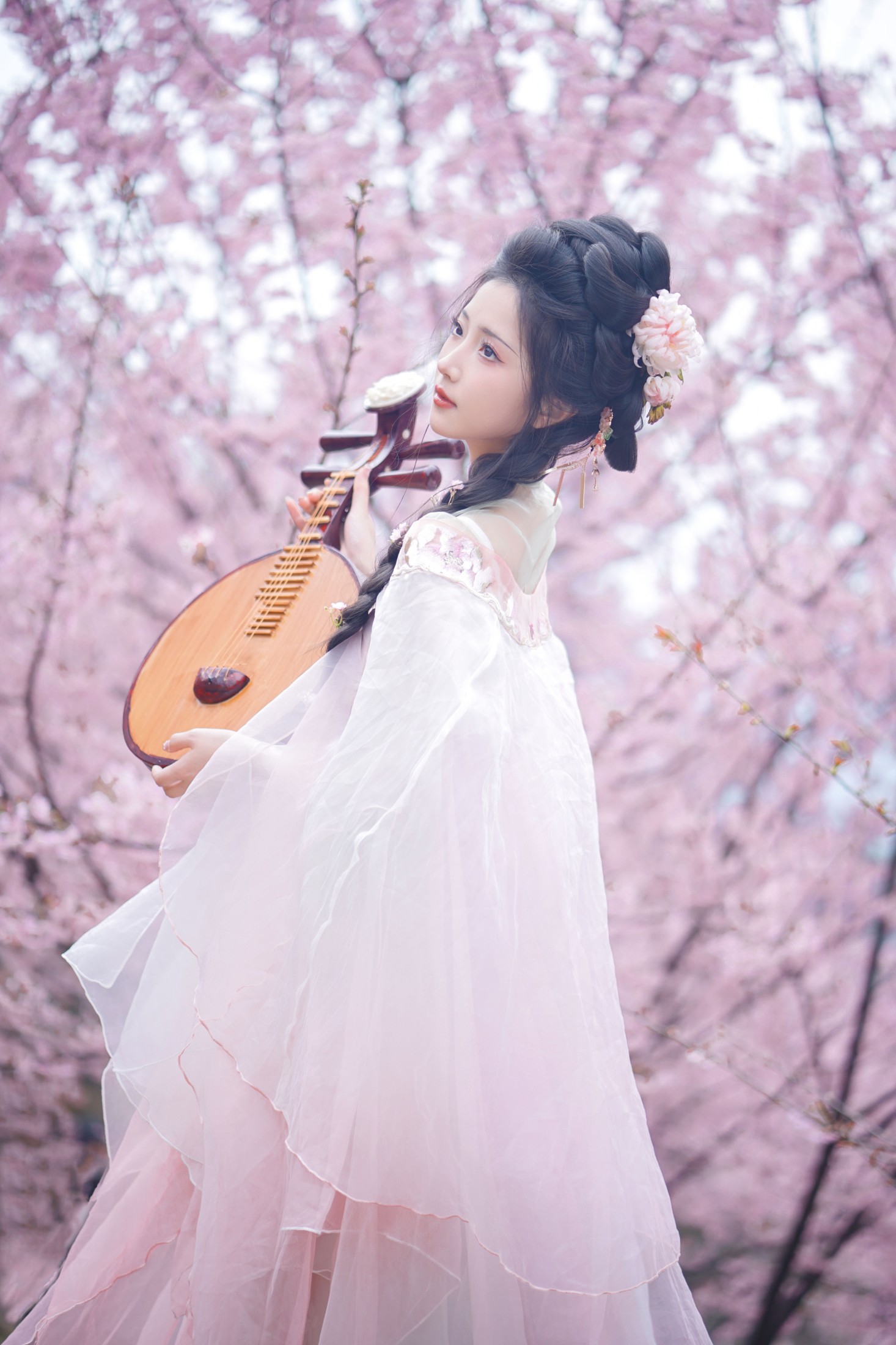 兔牙w – 《春日樱》[19P]