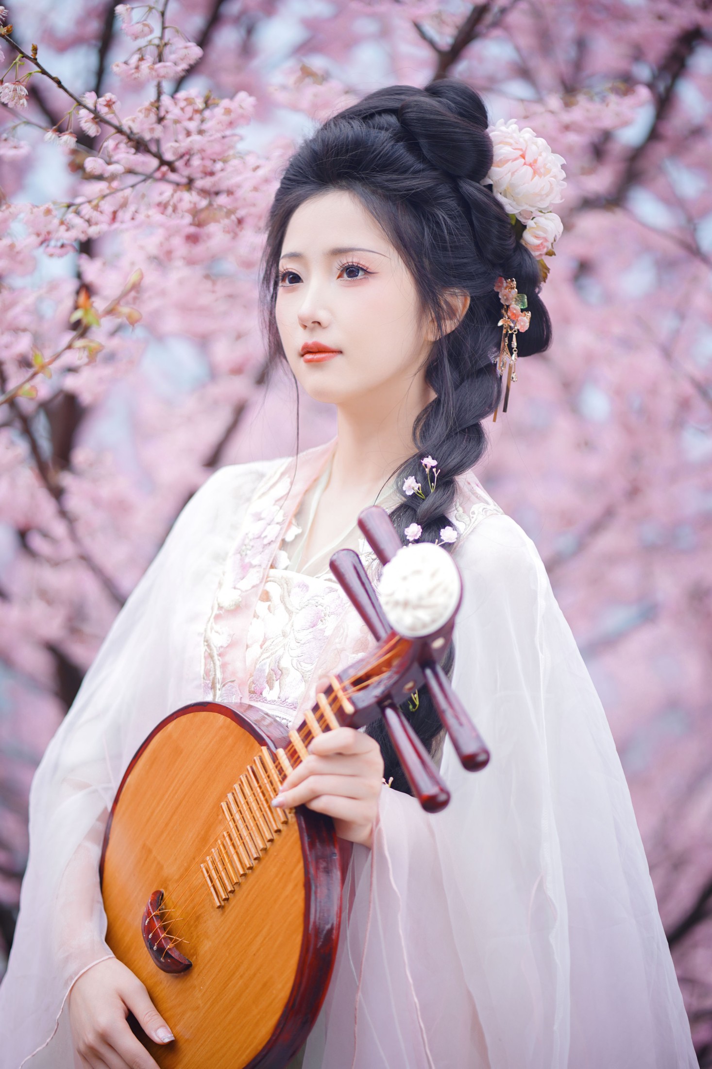 兔牙w – 《春日樱》[19P]