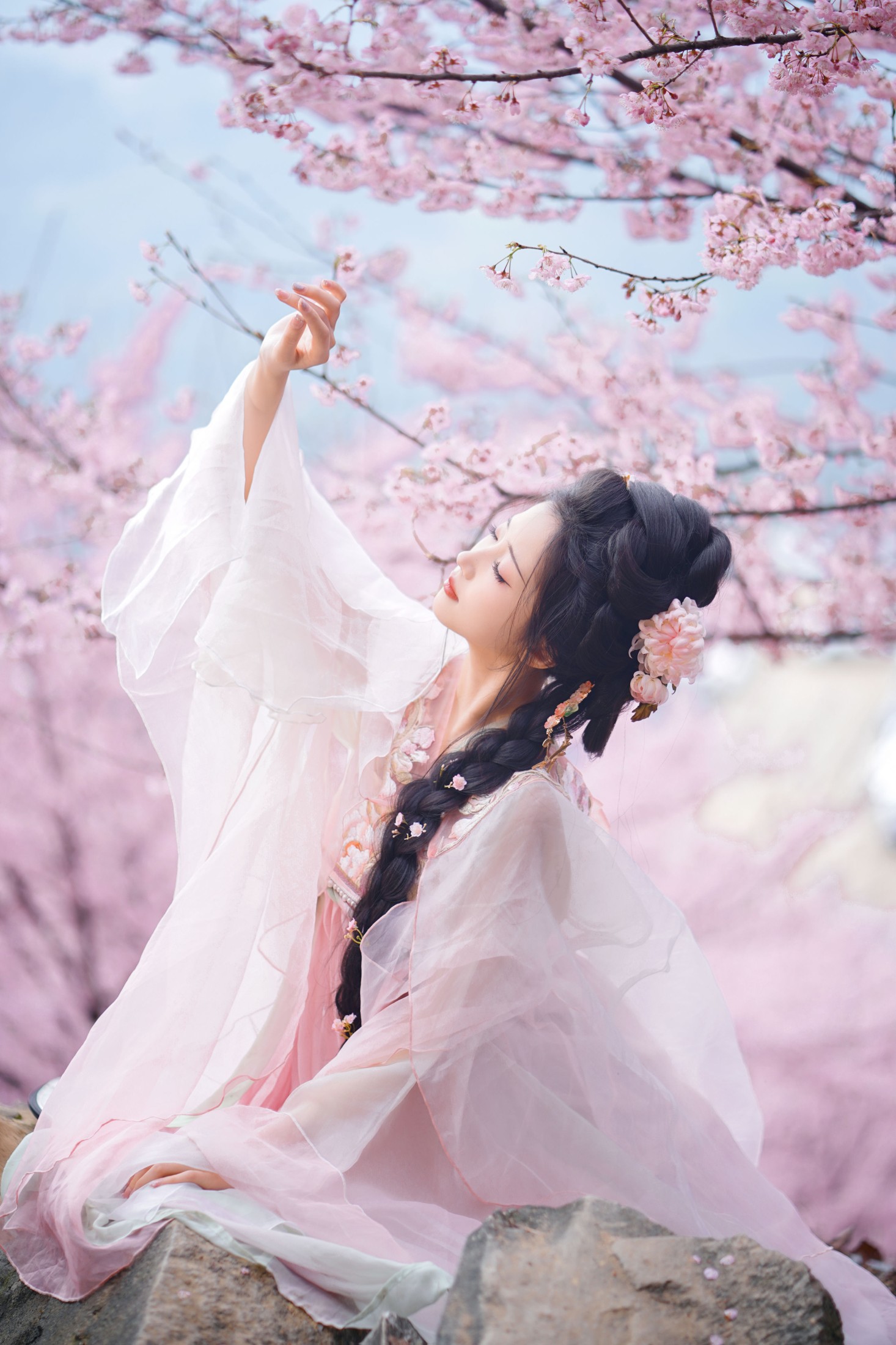 兔牙w – 《春日樱》[19P]