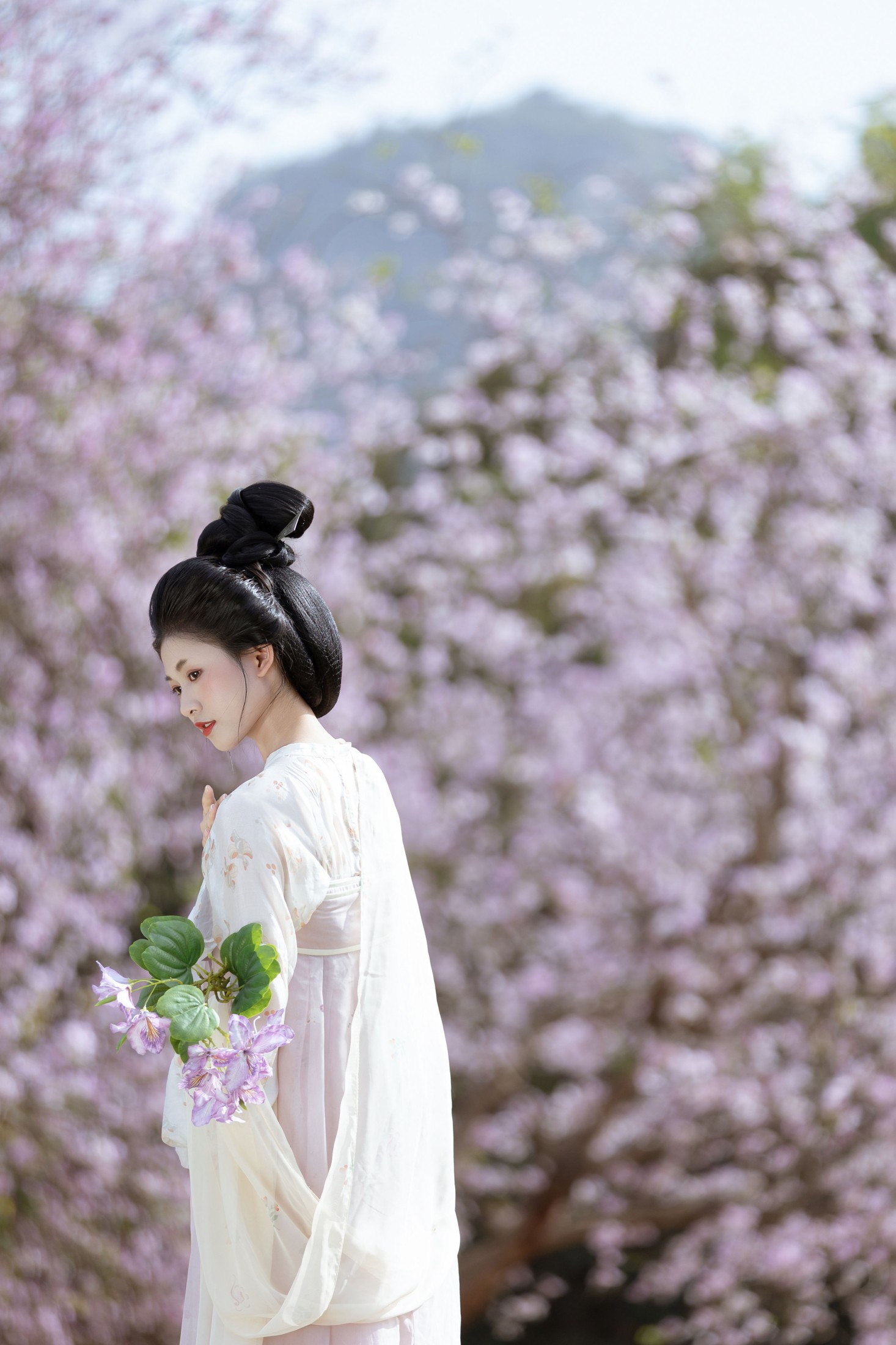 小y今天也很开心 – 《咏紫荆》[19P]