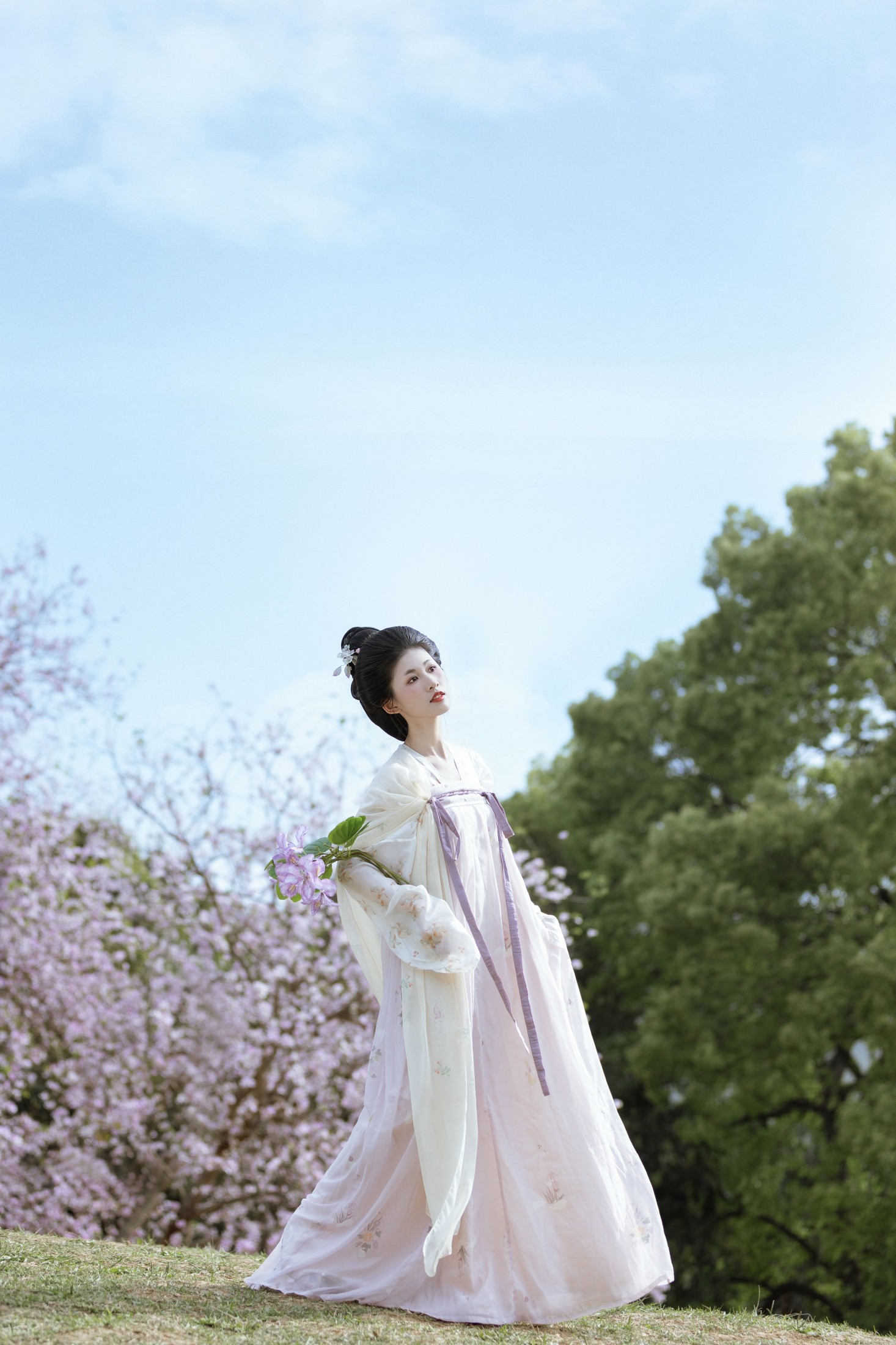 小y今天也很开心 – 《咏紫荆》[19P]