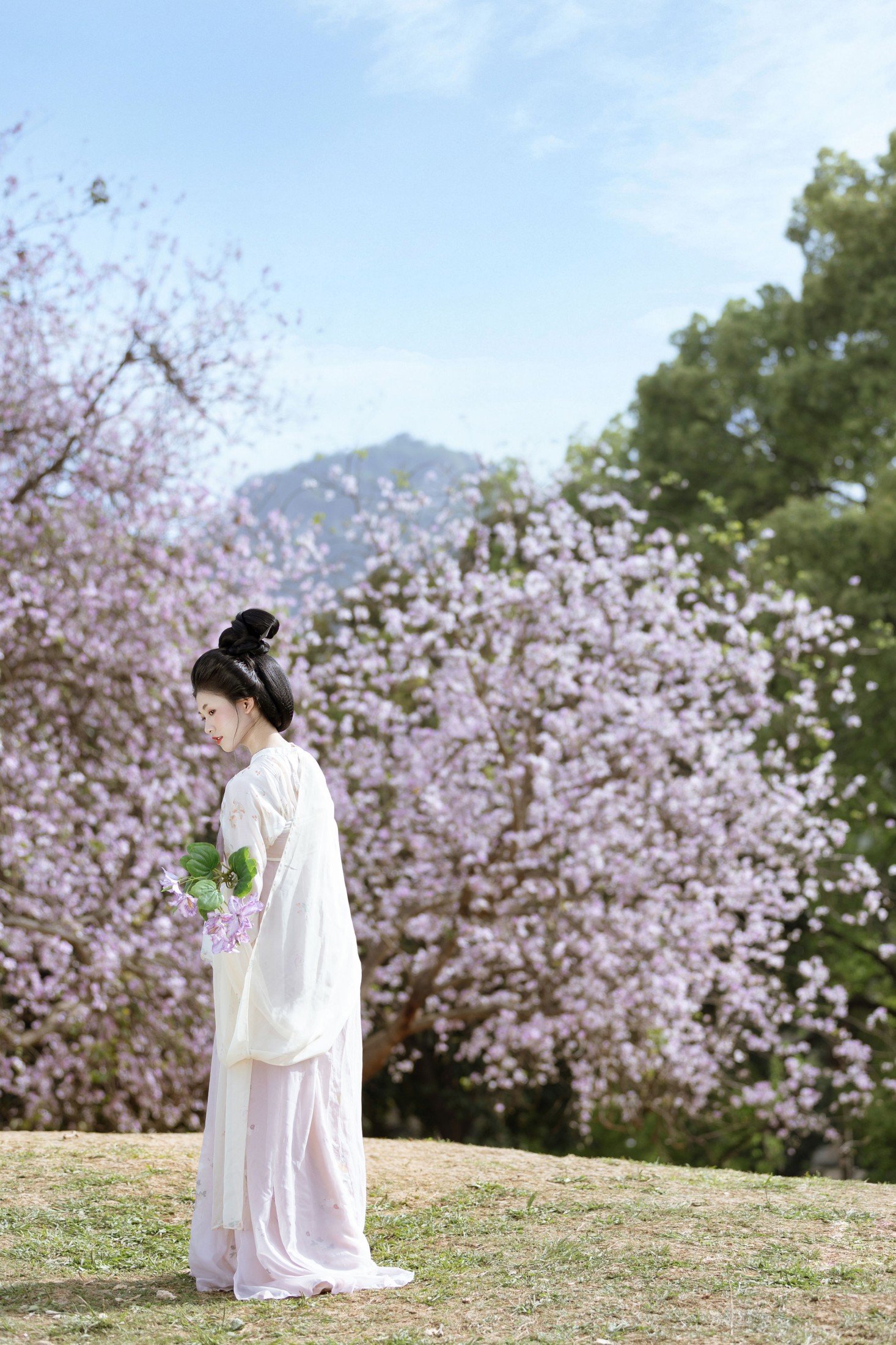 小y今天也很开心 – 《咏紫荆》[19P]