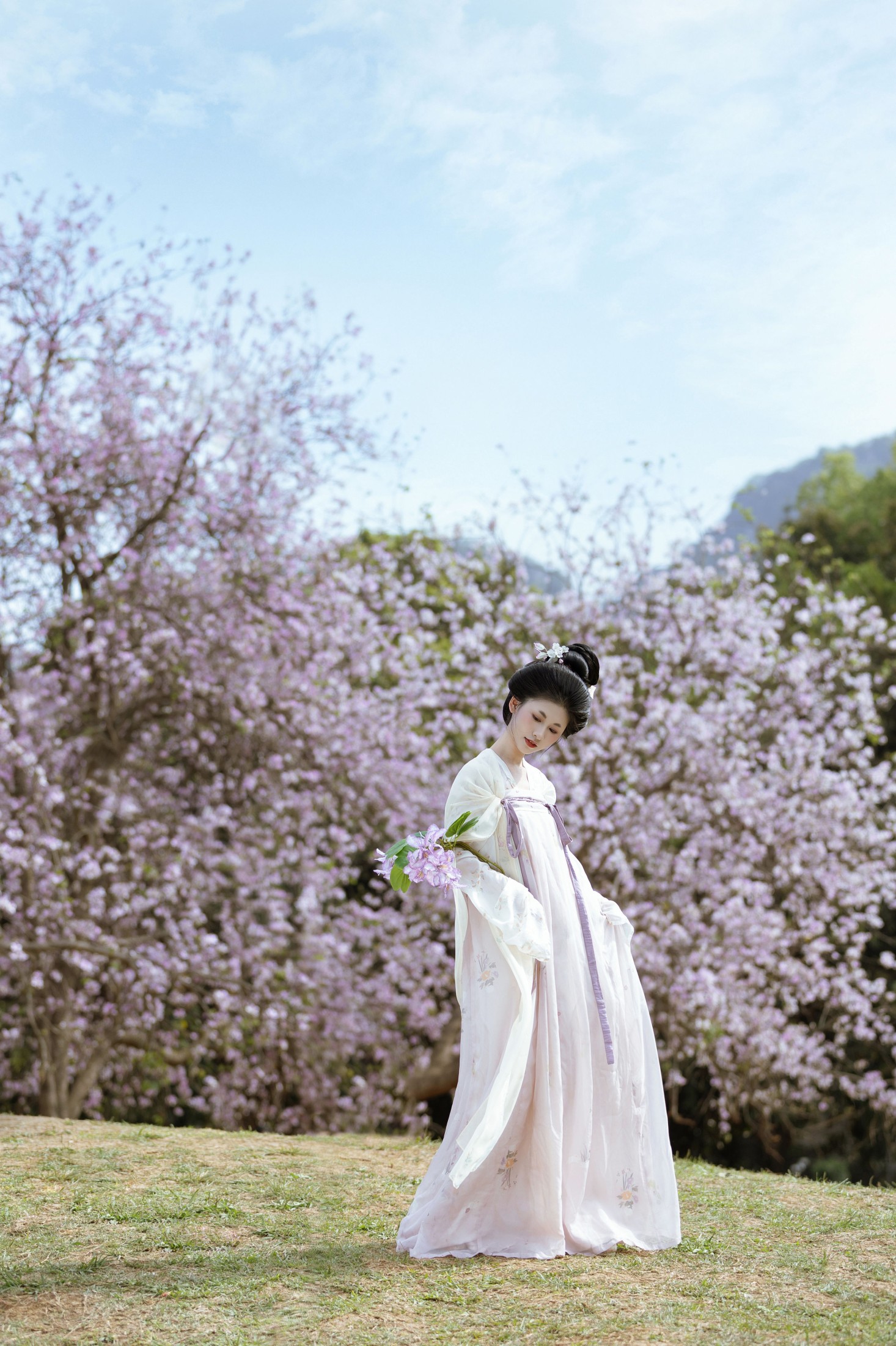 小y今天也很开心 – 《咏紫荆》[19P]