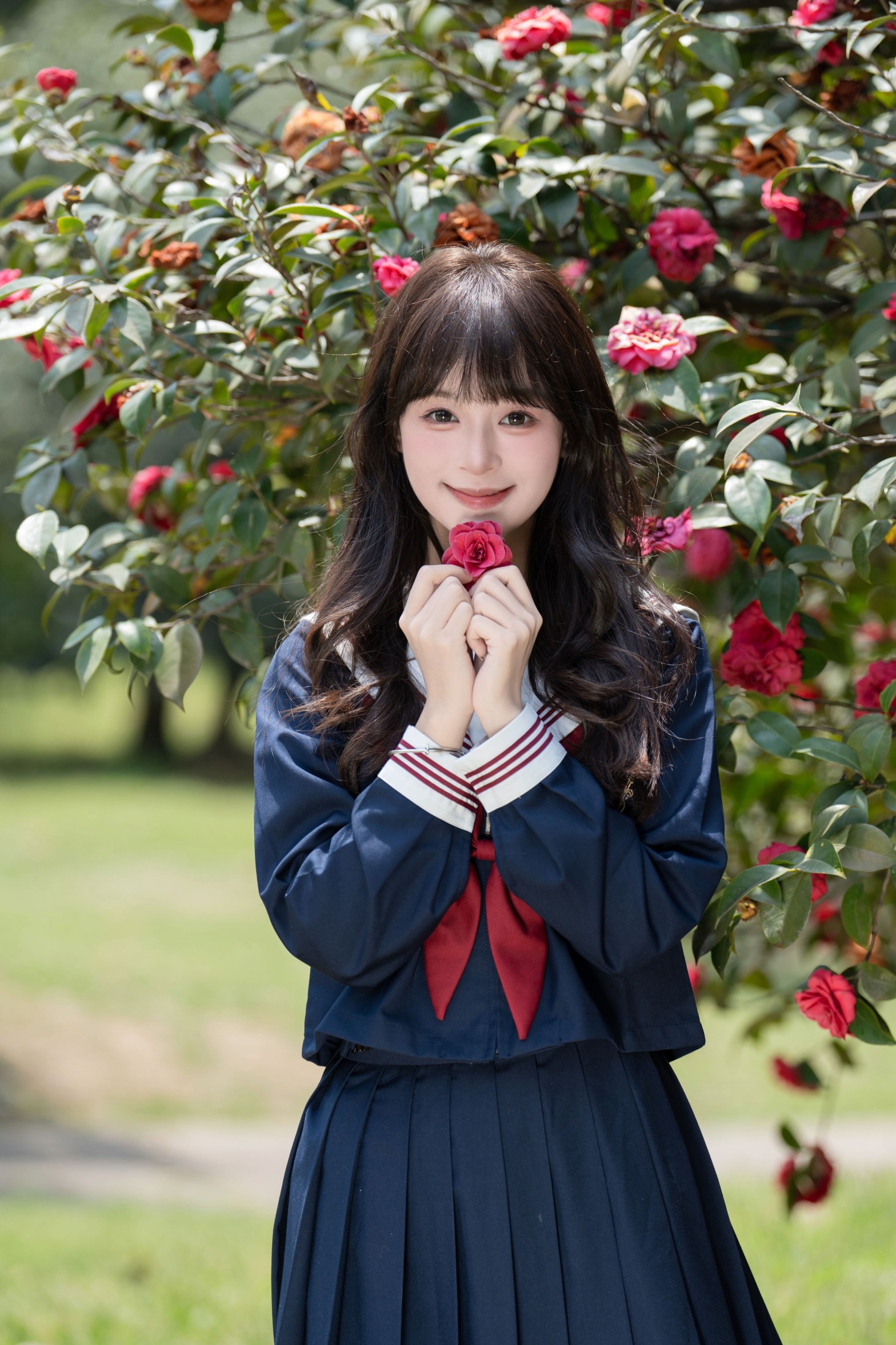 夏芋小年 – 《山茶花的花语是》[25P]