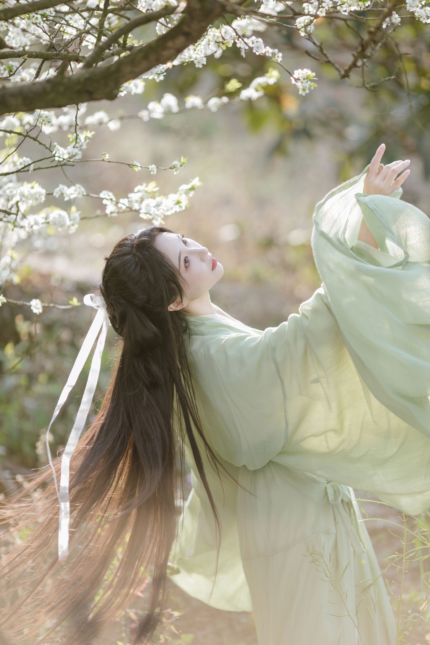 绮罗生的小苏苏 – 《杏花吹满头》[18P]