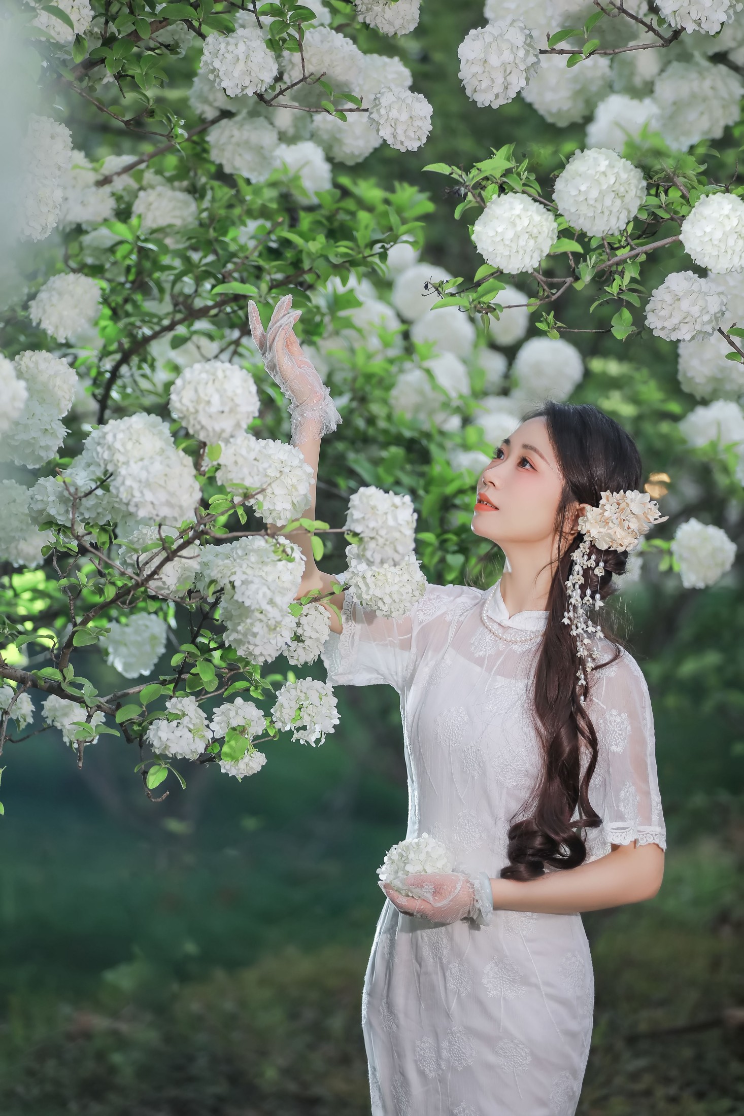 化妆师-甜 – 《春日物语》[14P]