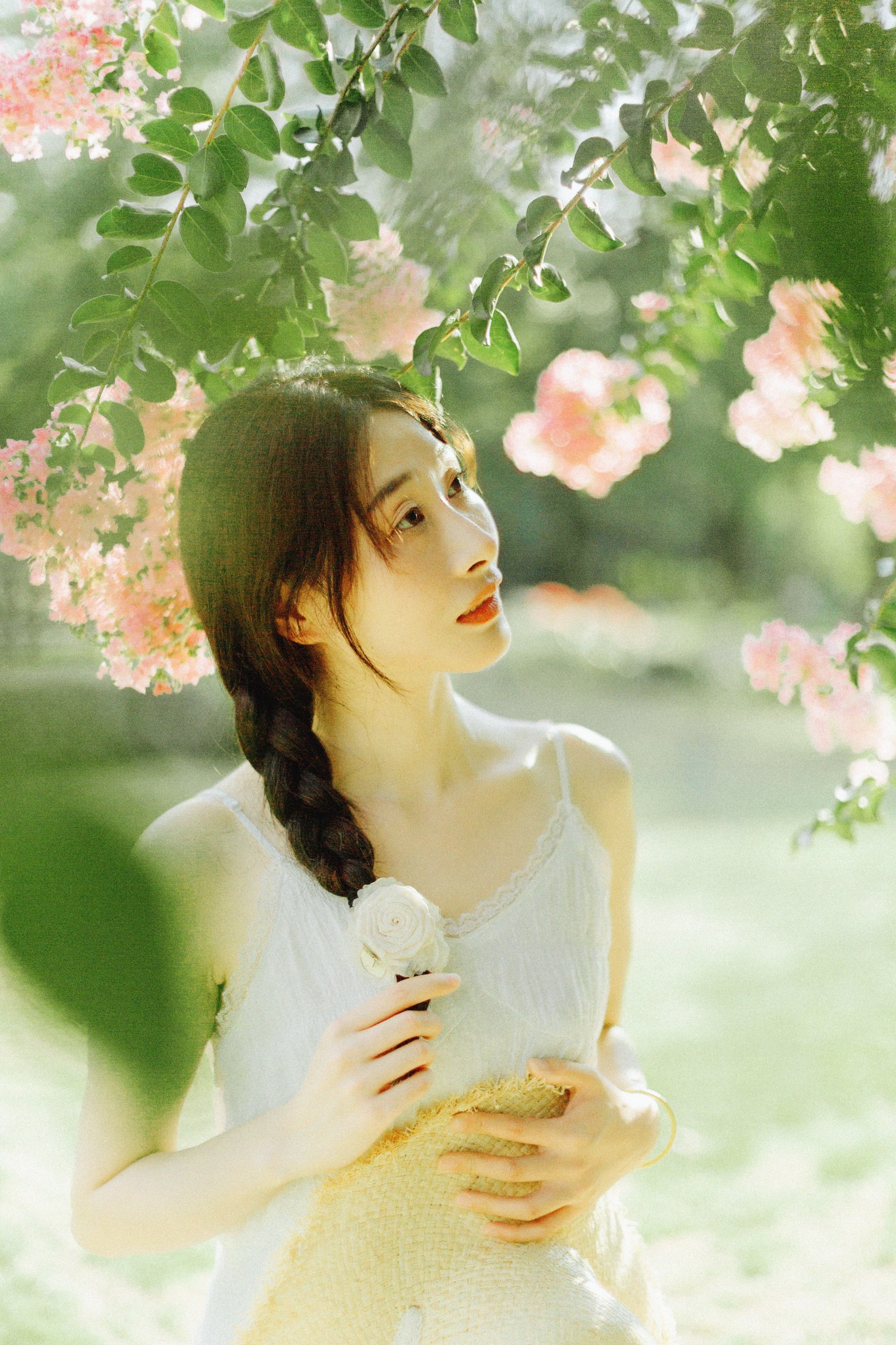 十二* – 《紫藤花开》[48P]