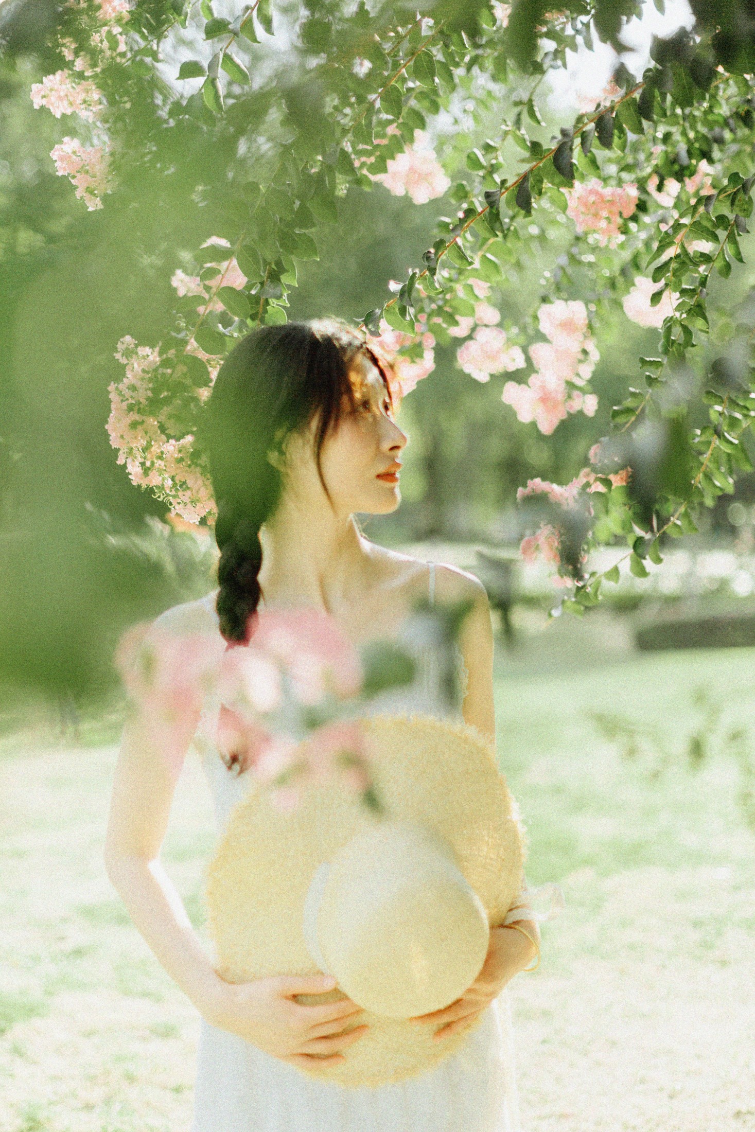 十二* – 《紫藤花开》[48P]