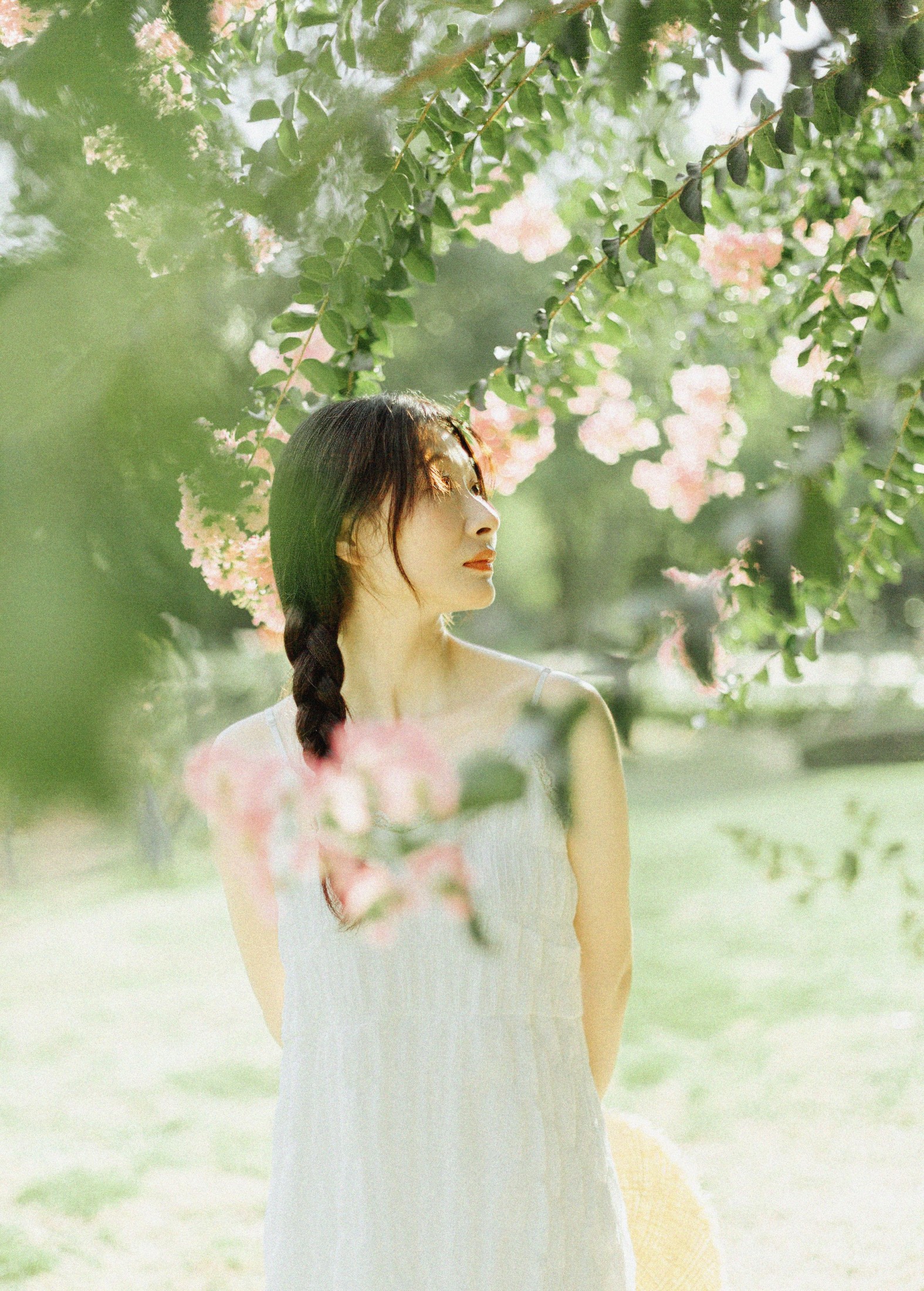 十二* – 《紫藤花开》[48P]