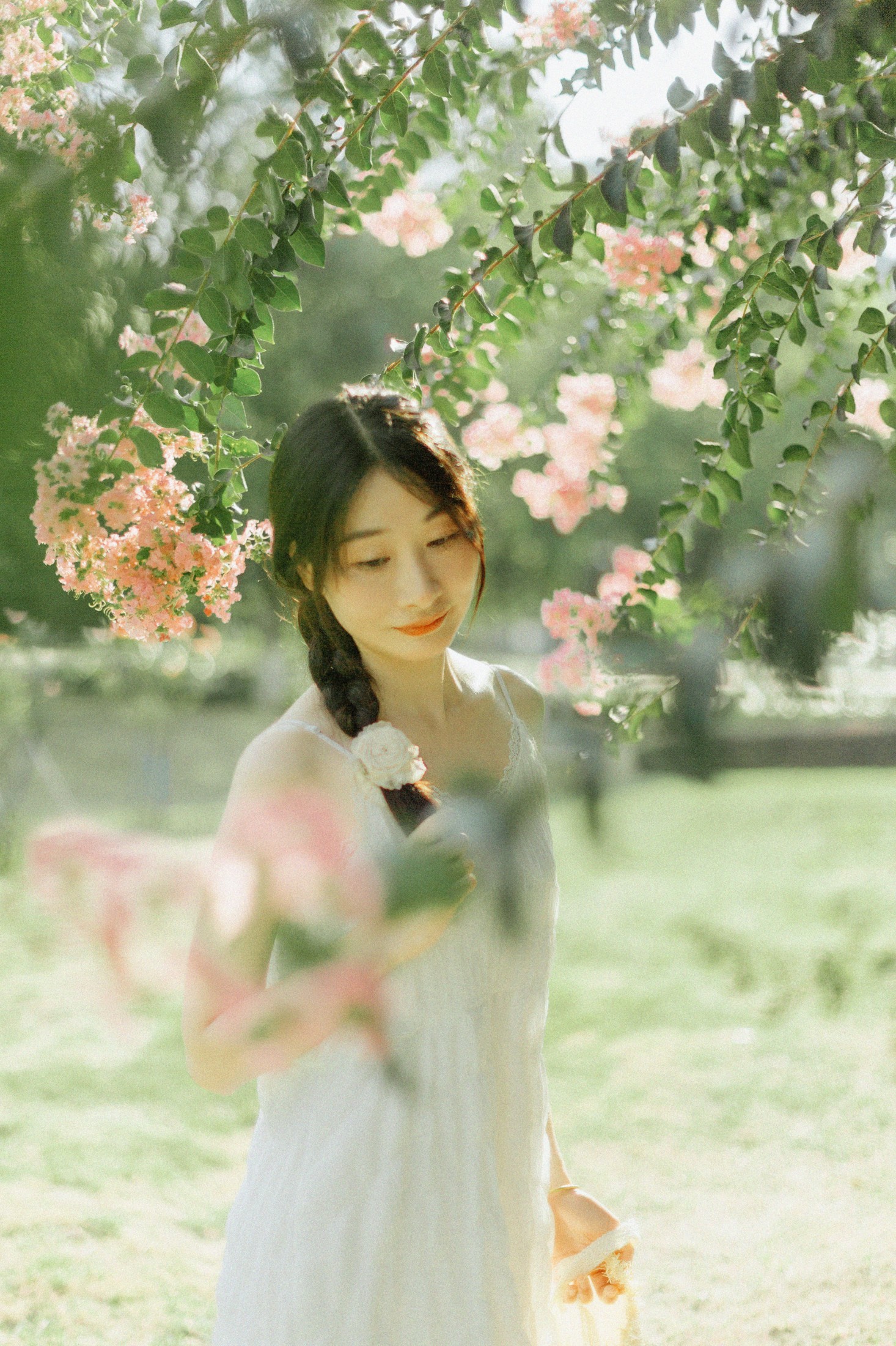 十二* – 《紫藤花开》[48P]