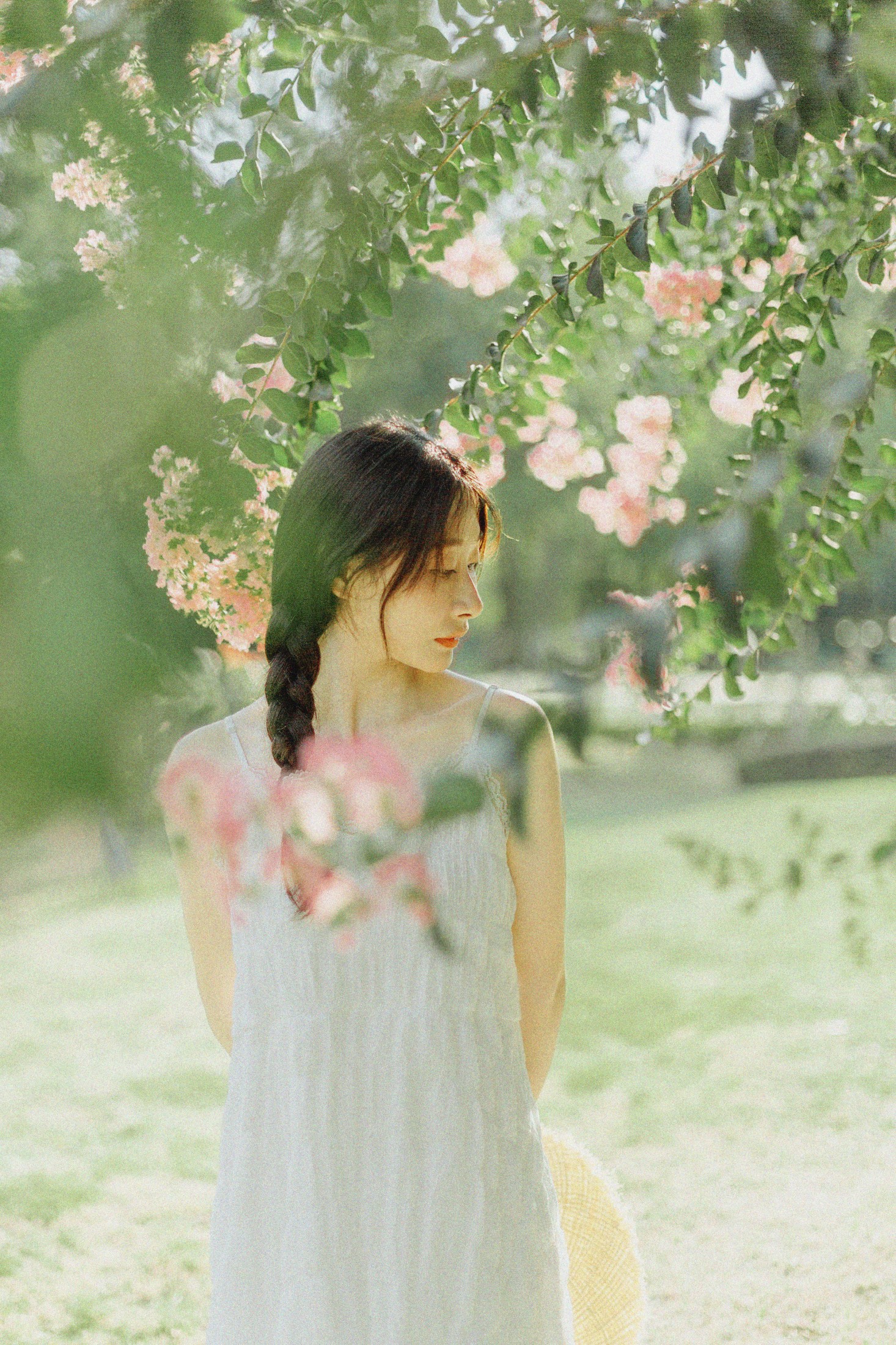 十二* – 《紫藤花开》[48P]