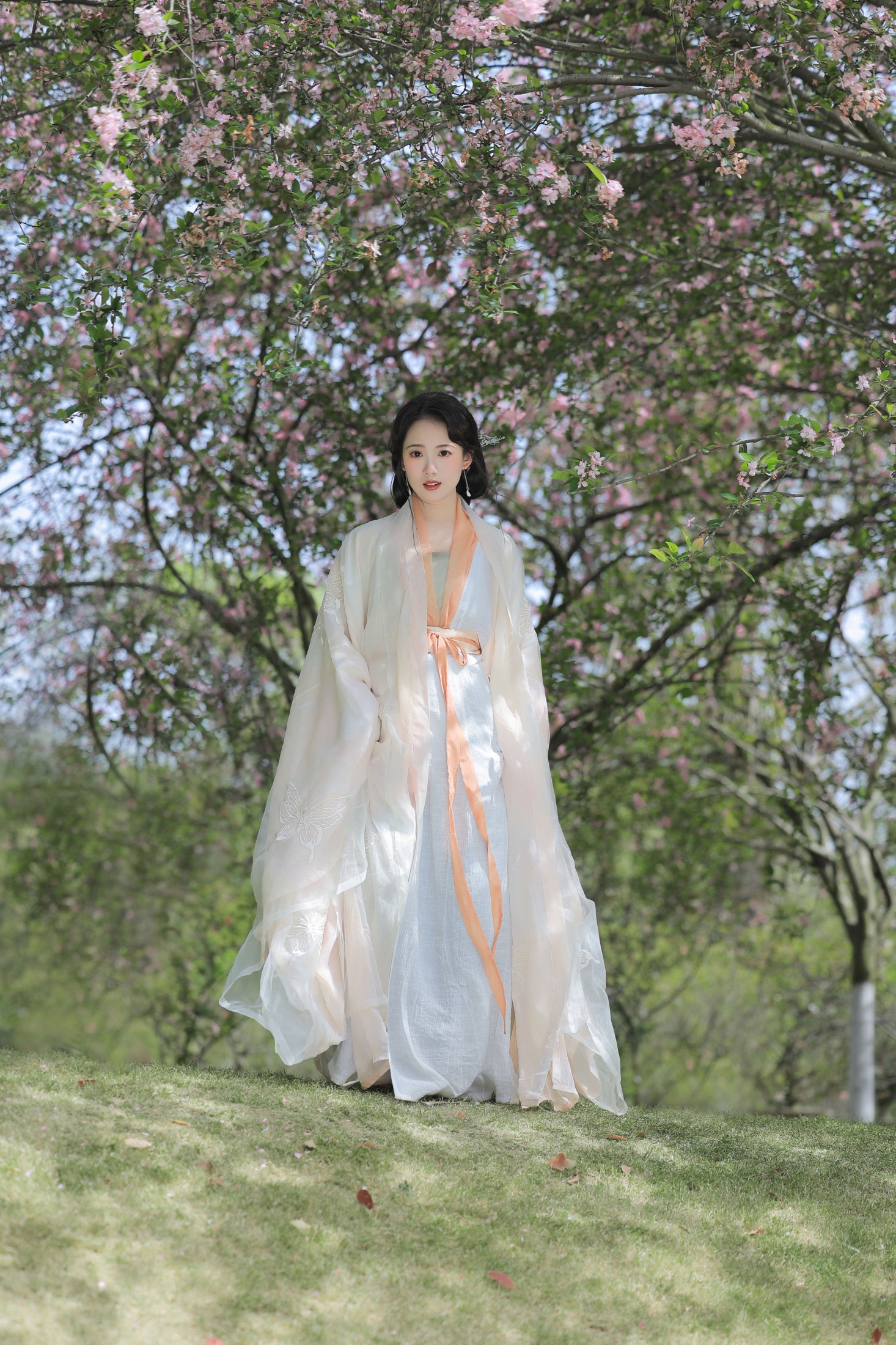 铁铁 – 《春之樱》[18P]