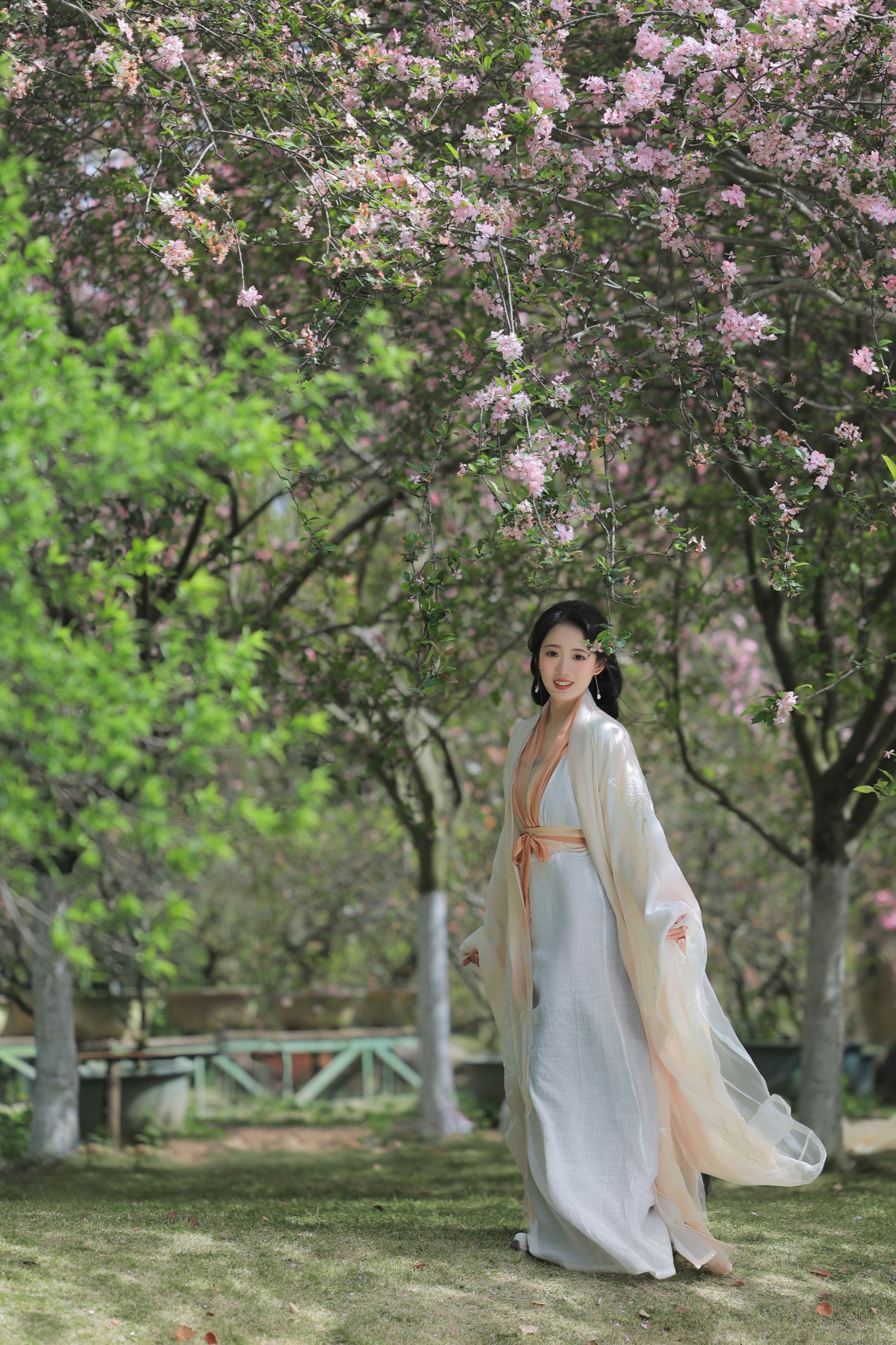 铁铁 – 《春之樱》[18P]